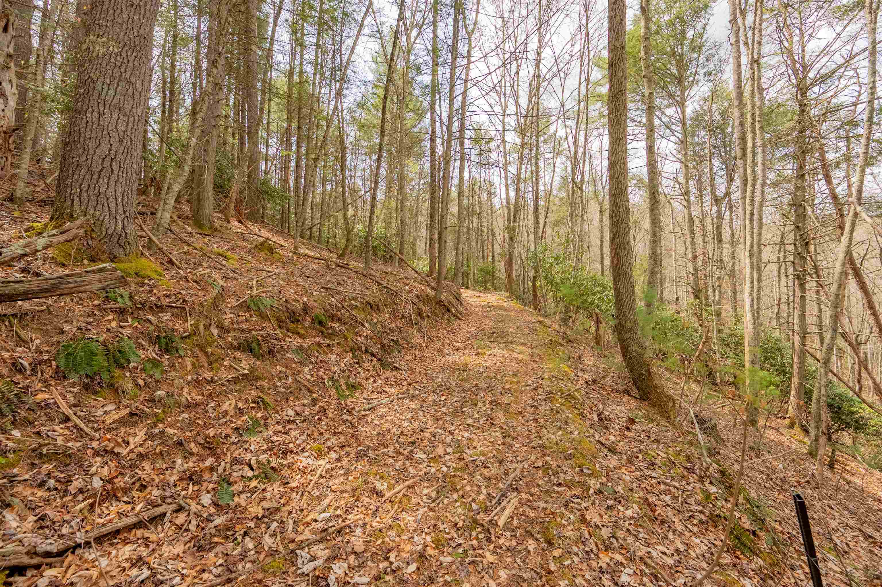 183 Pine Mountain Road NE Floyd VA 24091