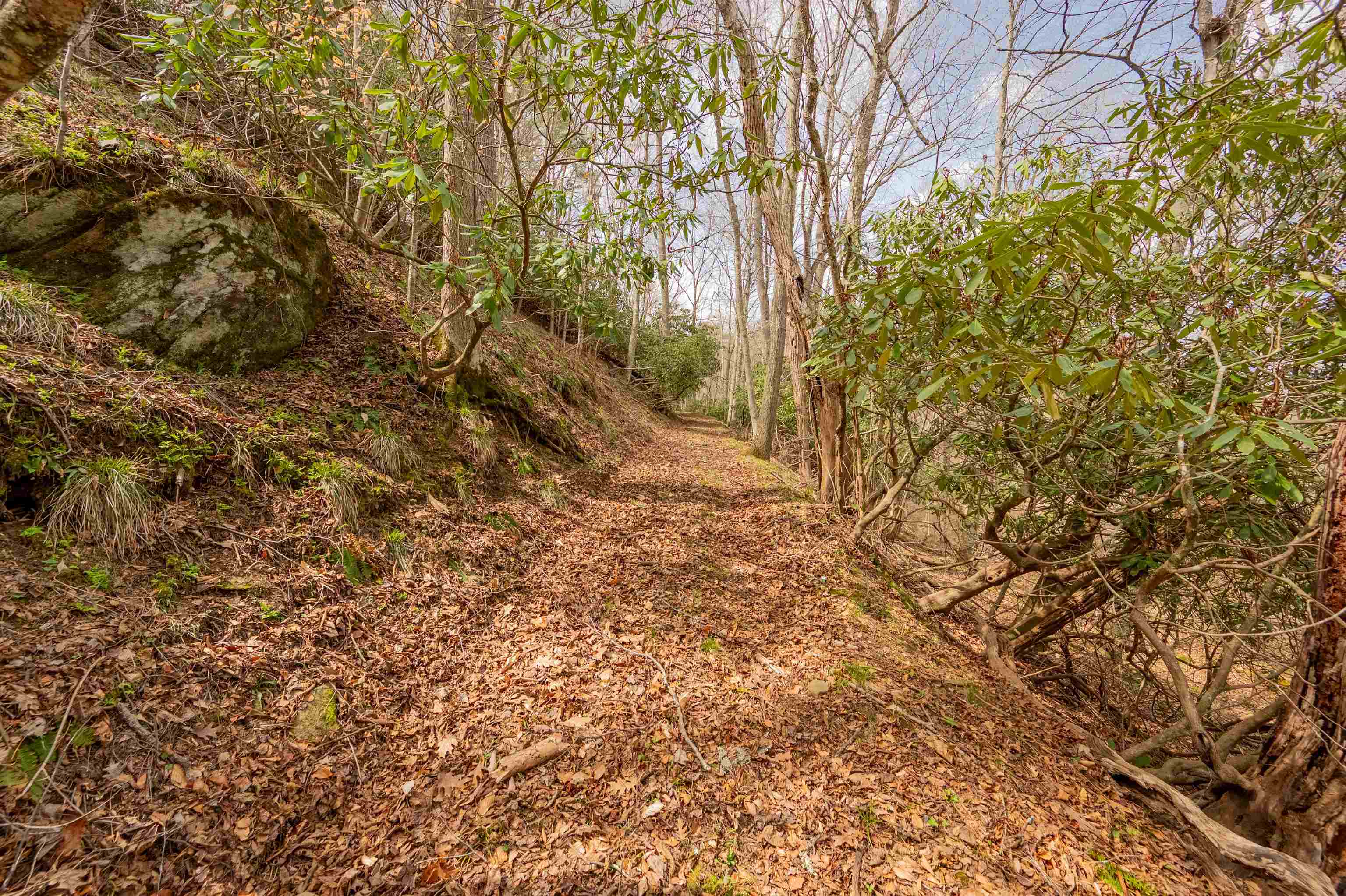 183 Pine Mountain Road NE Floyd VA 24091