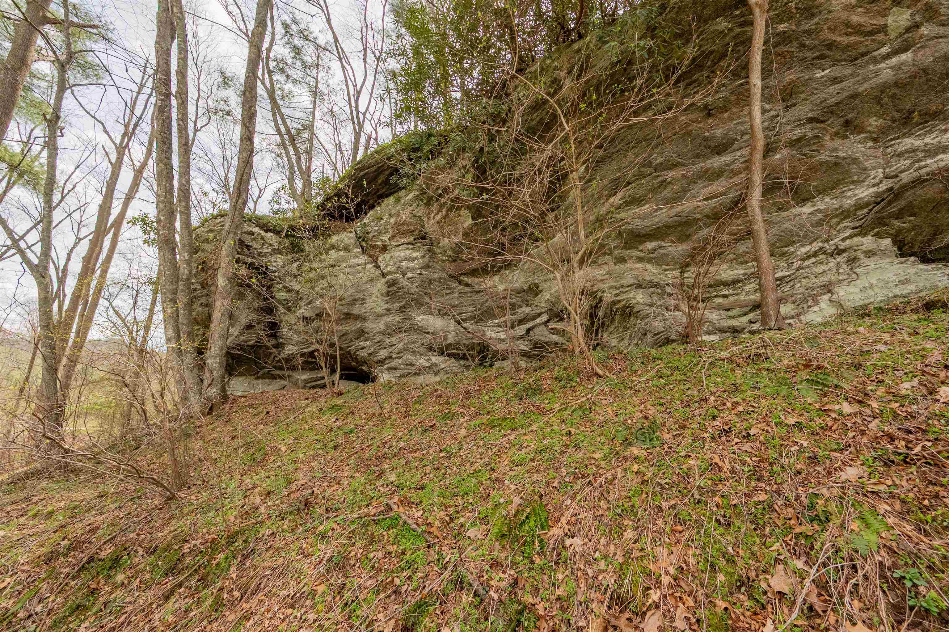 183 Pine Mountain Road NE Floyd VA 24091