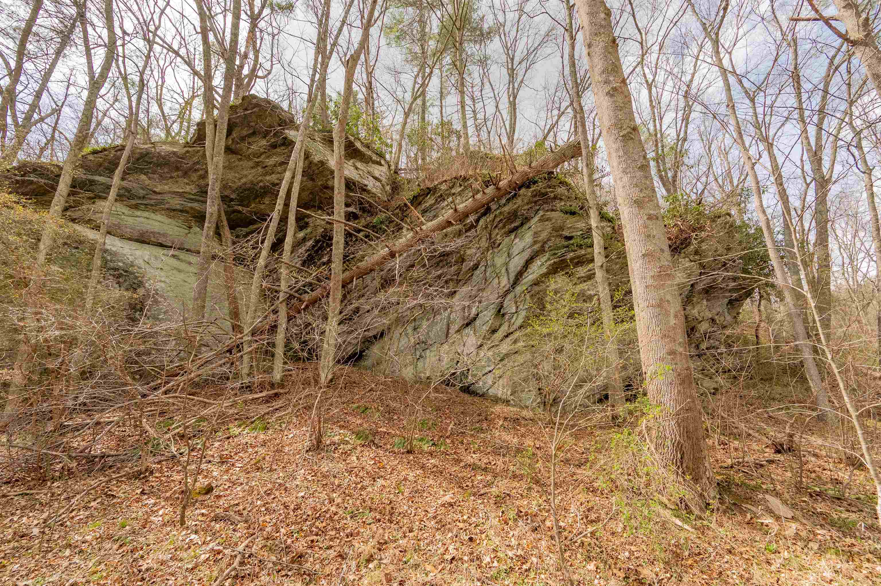 183 Pine Mountain Road NE Floyd VA 24091