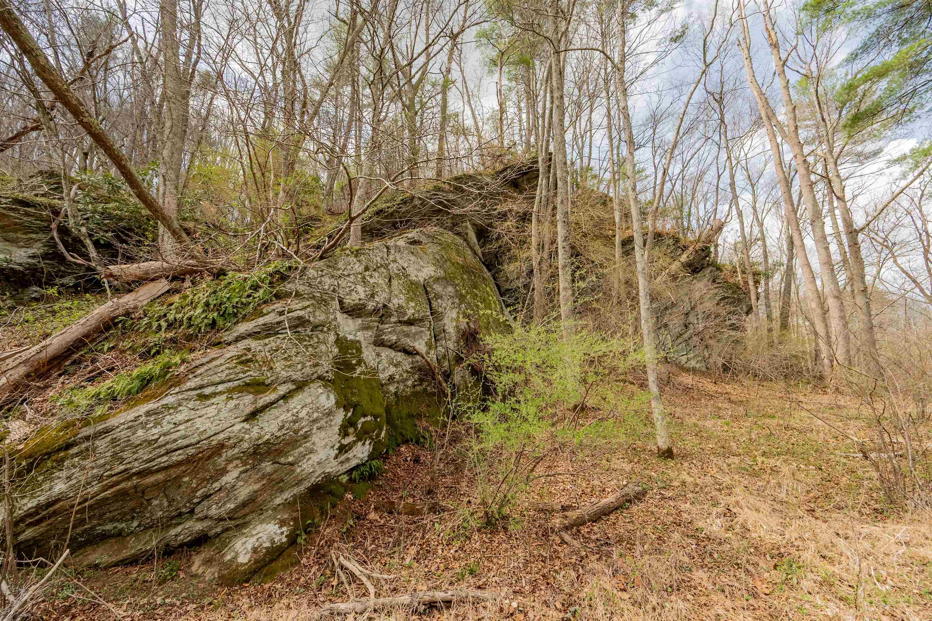 183 Pine Mountain Road NE Floyd VA 24091
