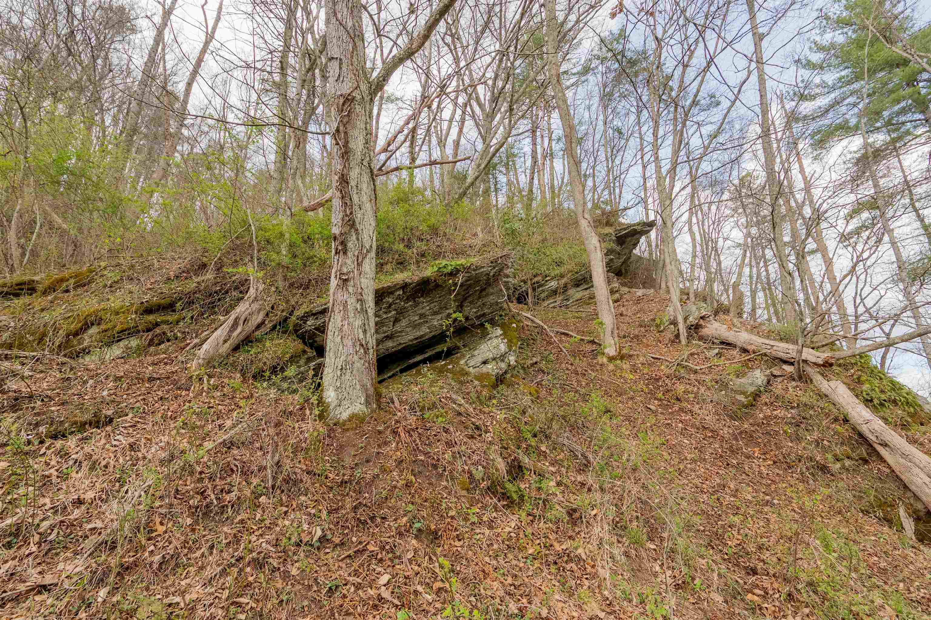 183 Pine Mountain Road NE Floyd VA 24091