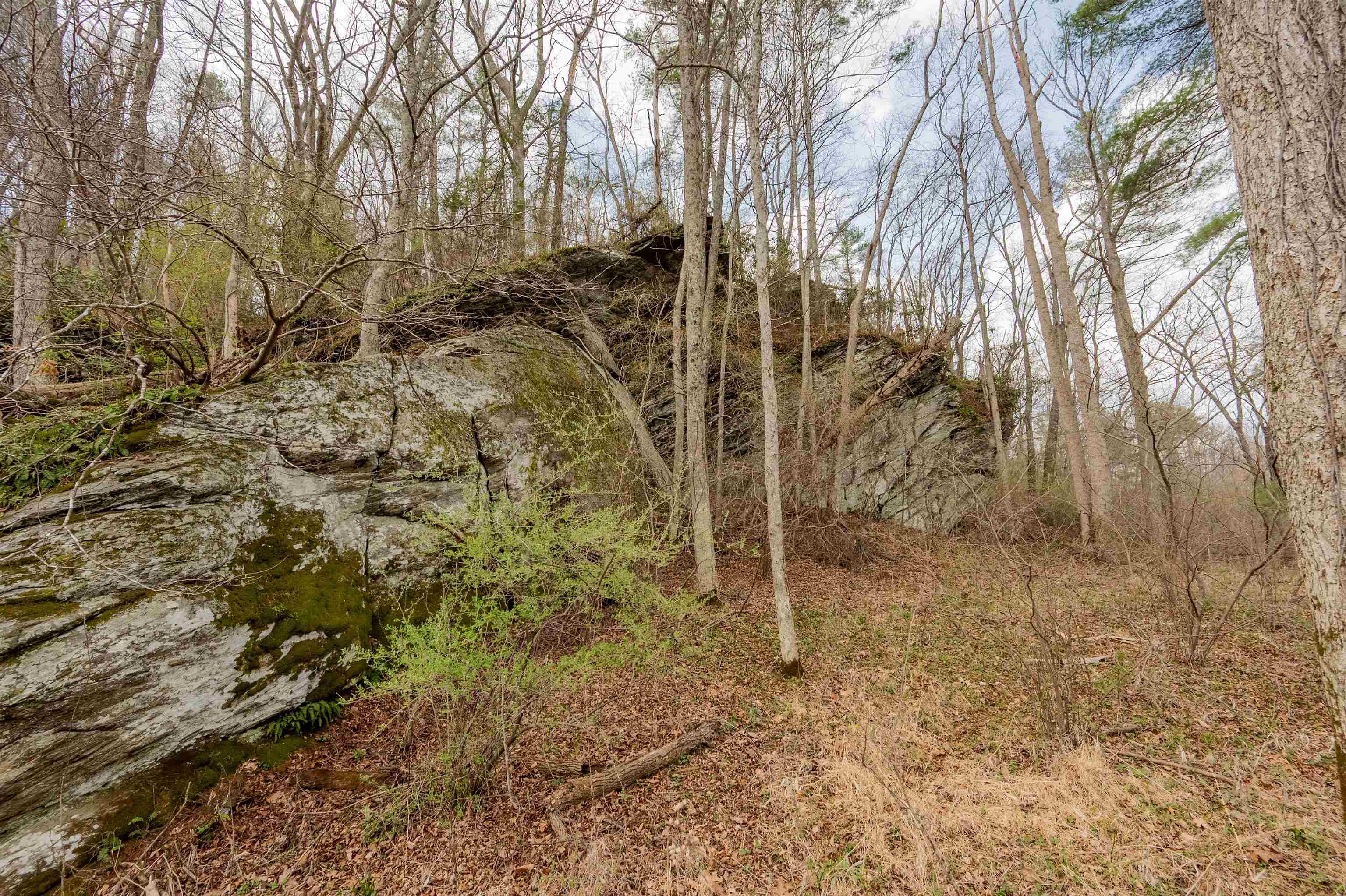 183 Pine Mountain Road NE Floyd VA 24091