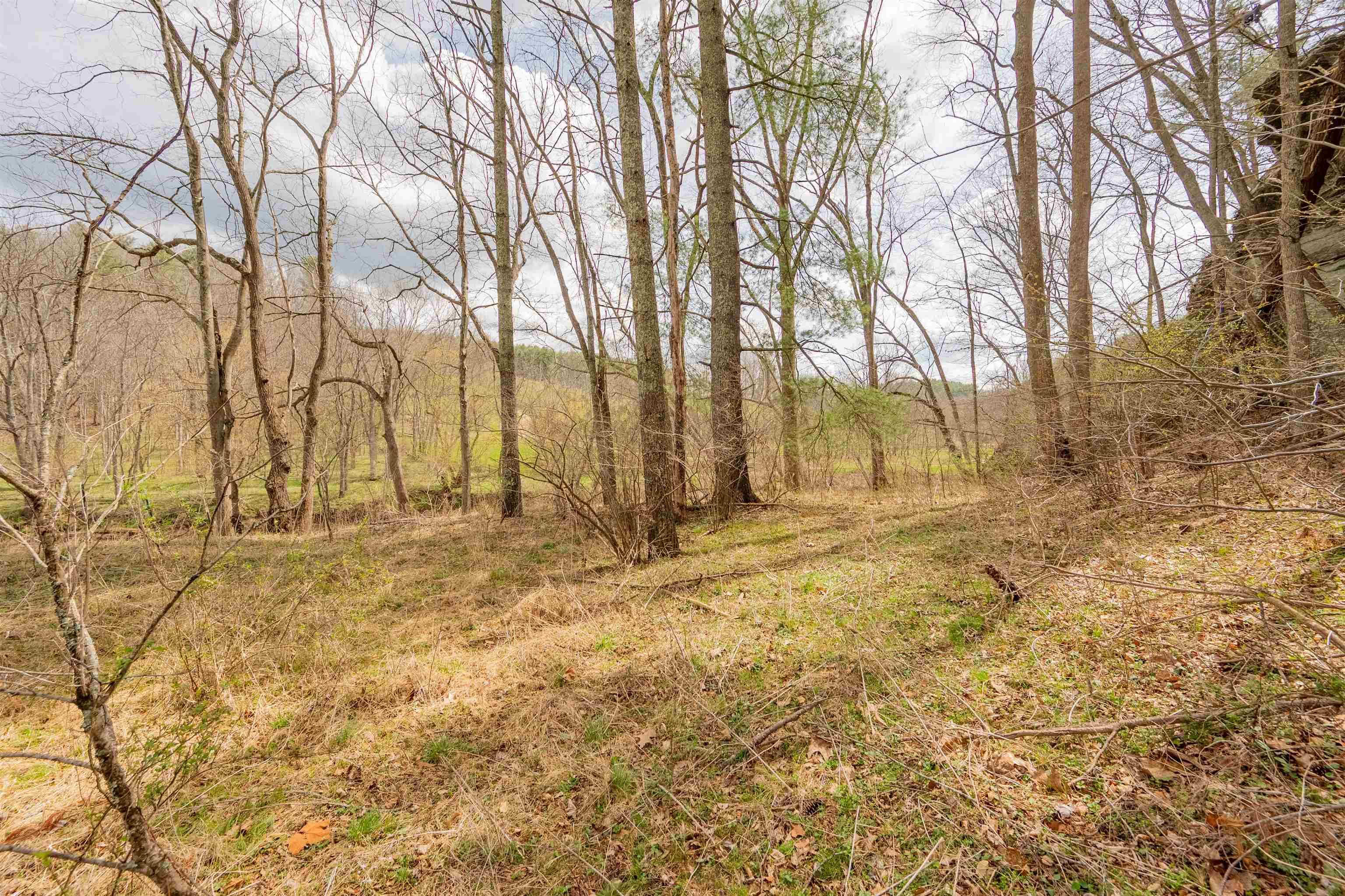183 Pine Mountain Road NE Floyd VA 24091
