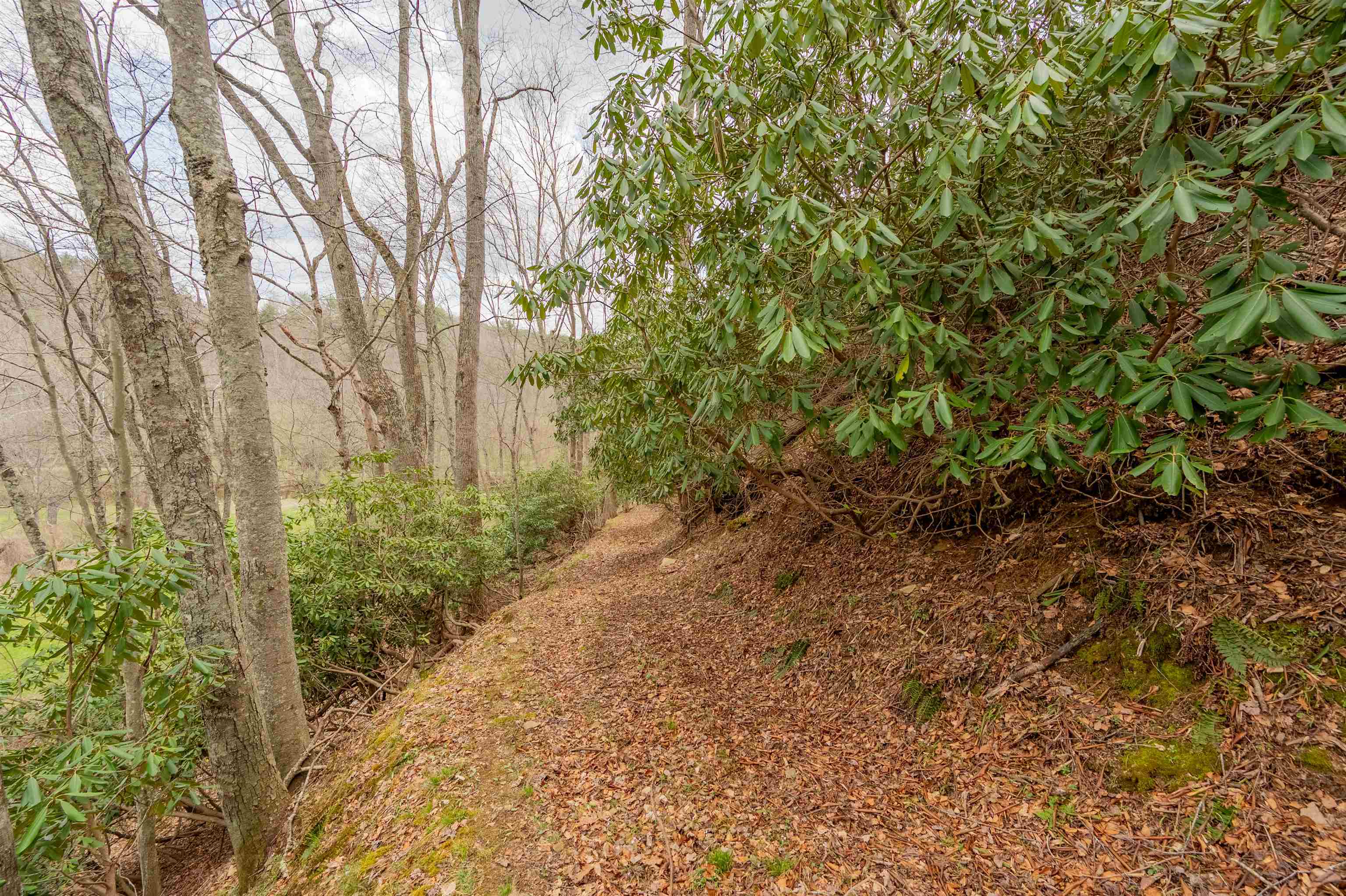 183 Pine Mountain Road NE Floyd VA 24091