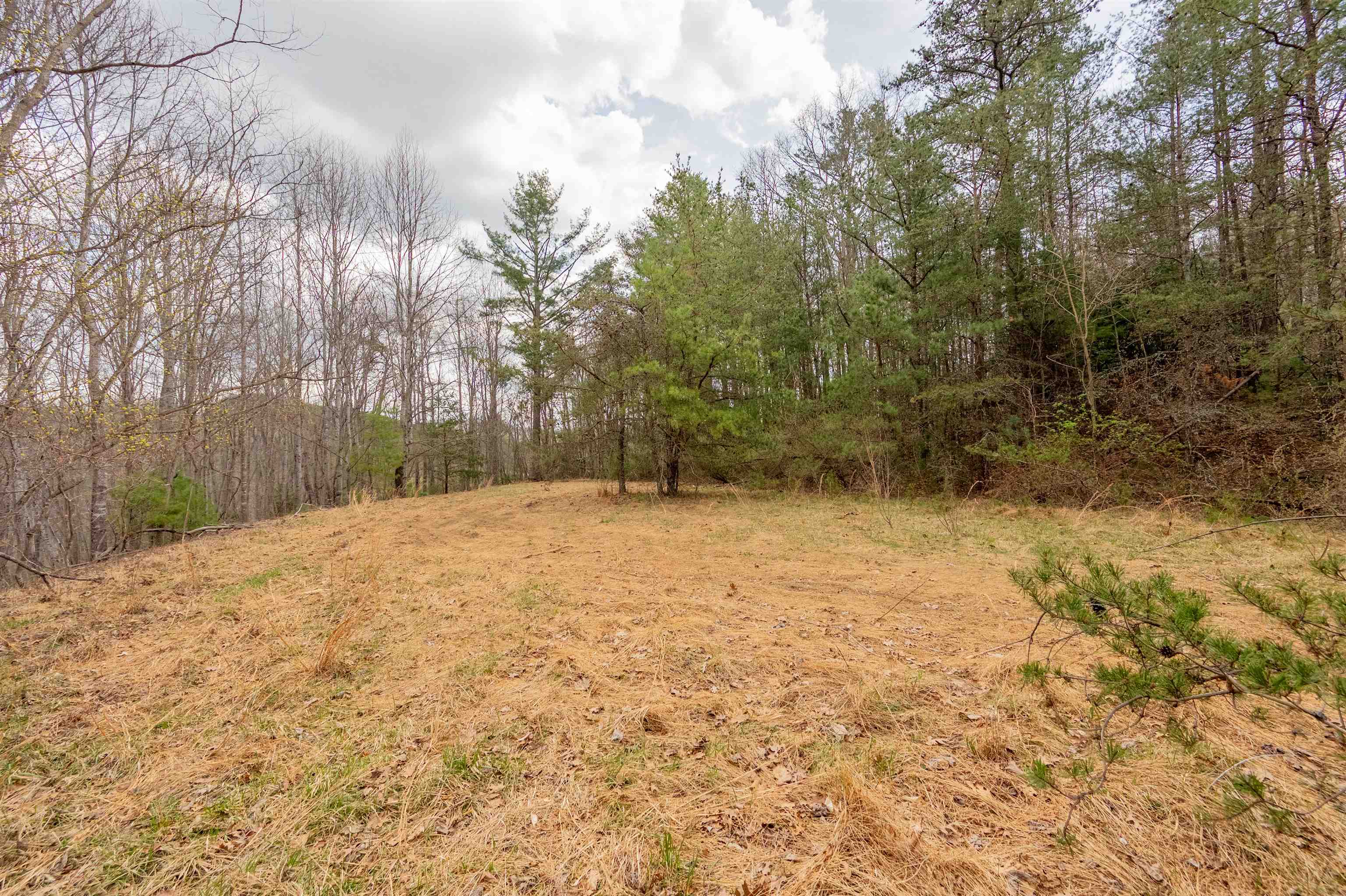 183 Pine Mountain Road NE Floyd VA 24091