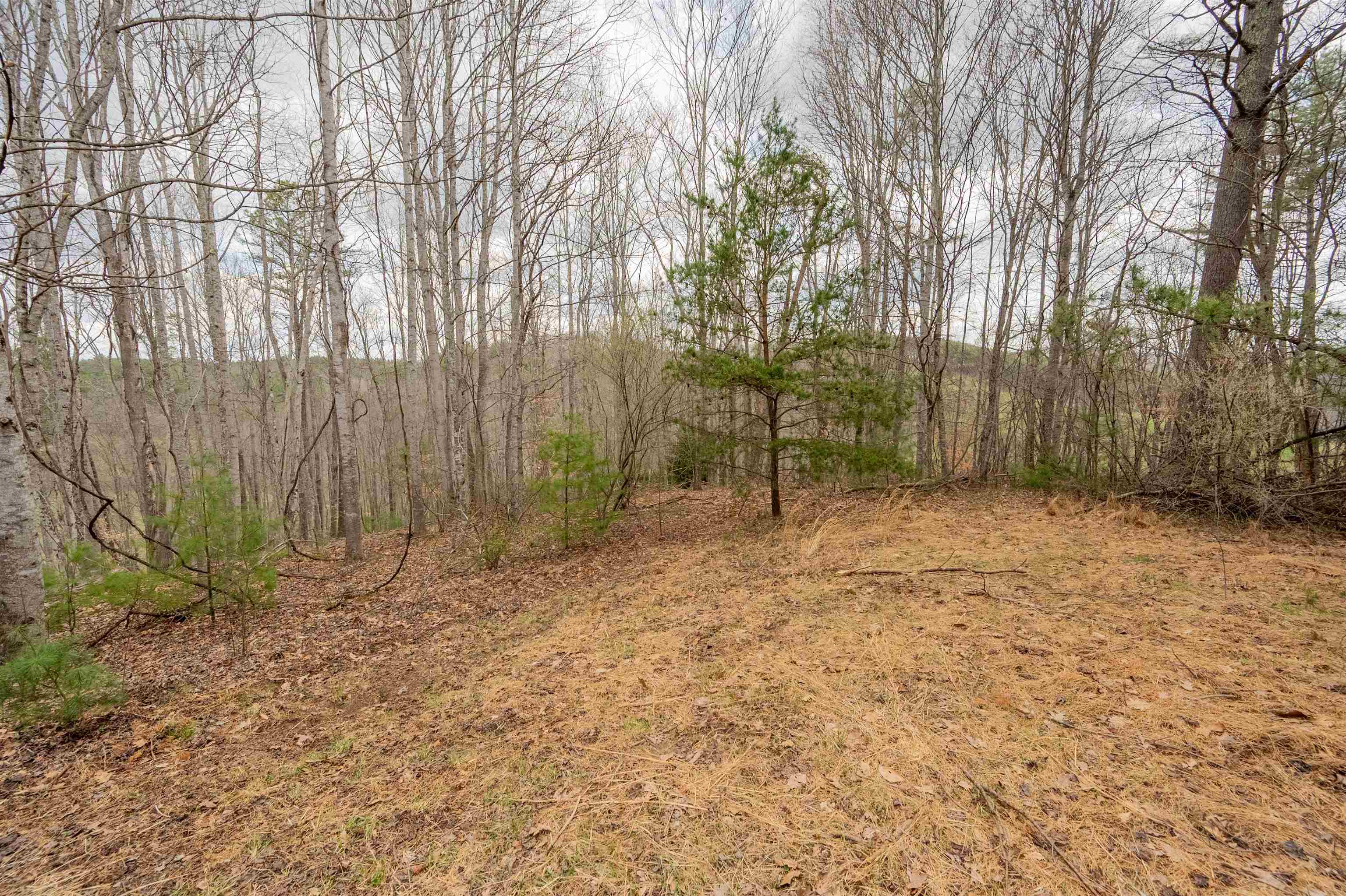 183 Pine Mountain Road NE Floyd VA 24091