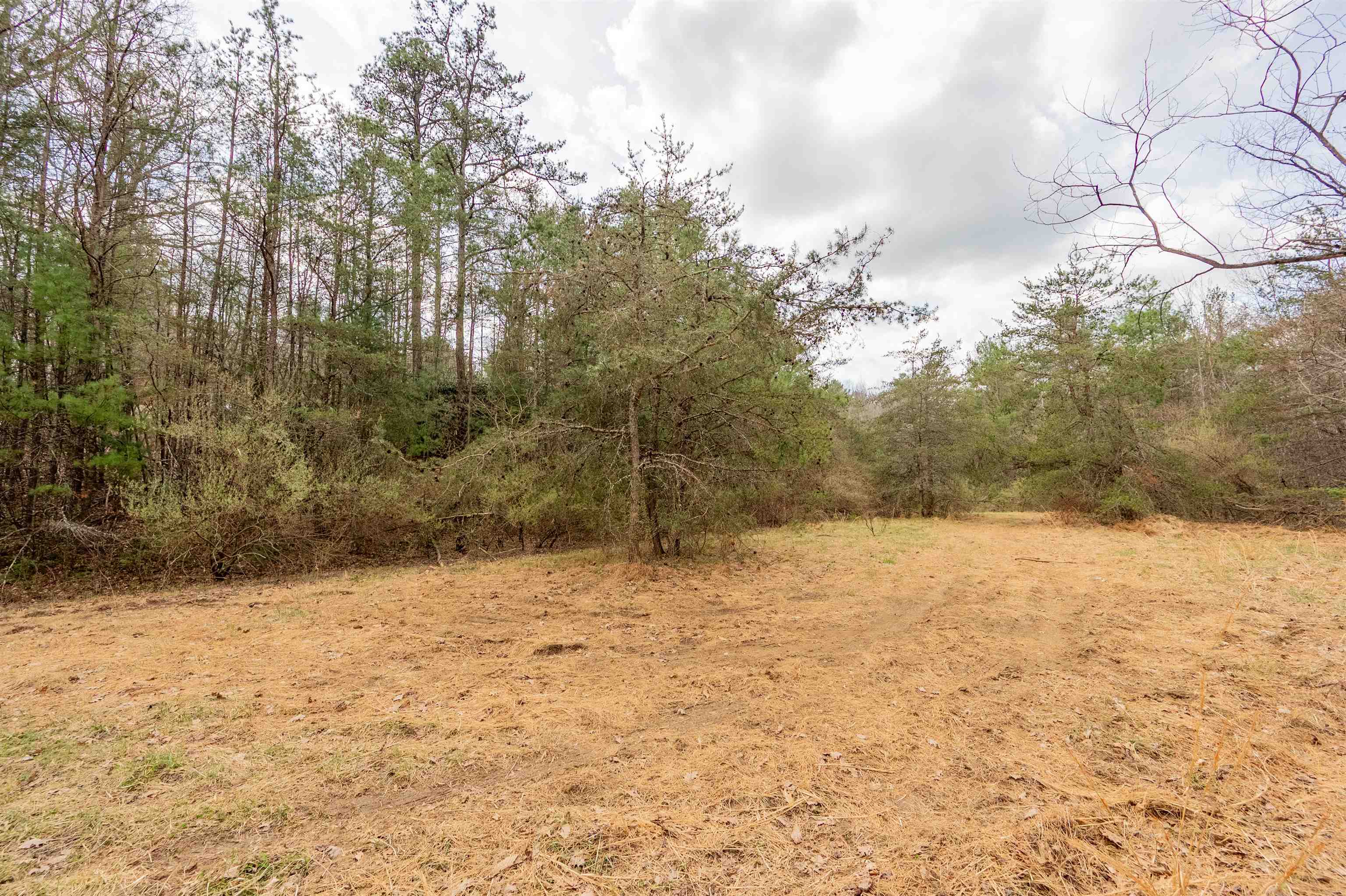 183 Pine Mountain Road NE Floyd VA 24091