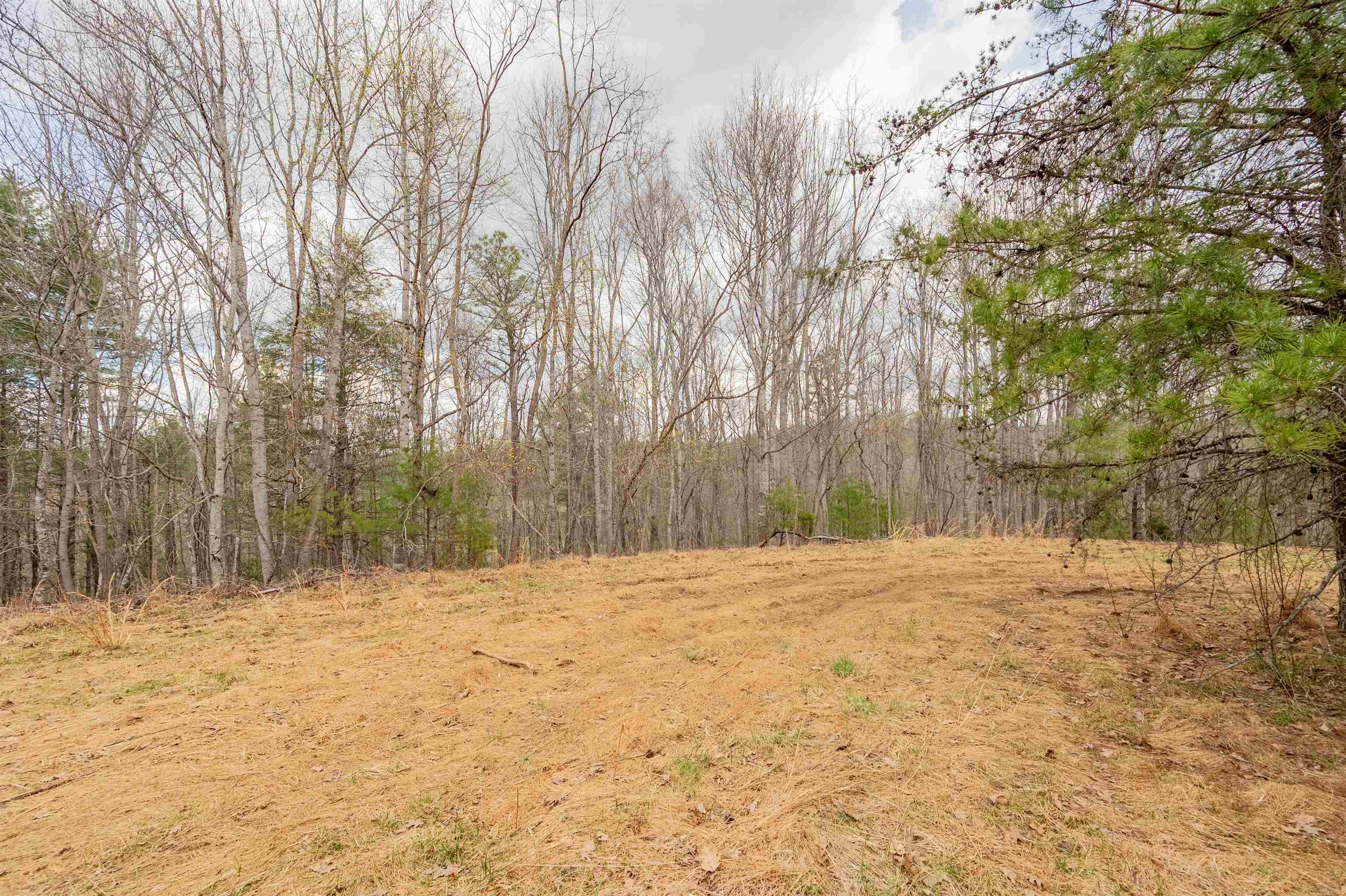 183 Pine Mountain Road NE Floyd VA 24091