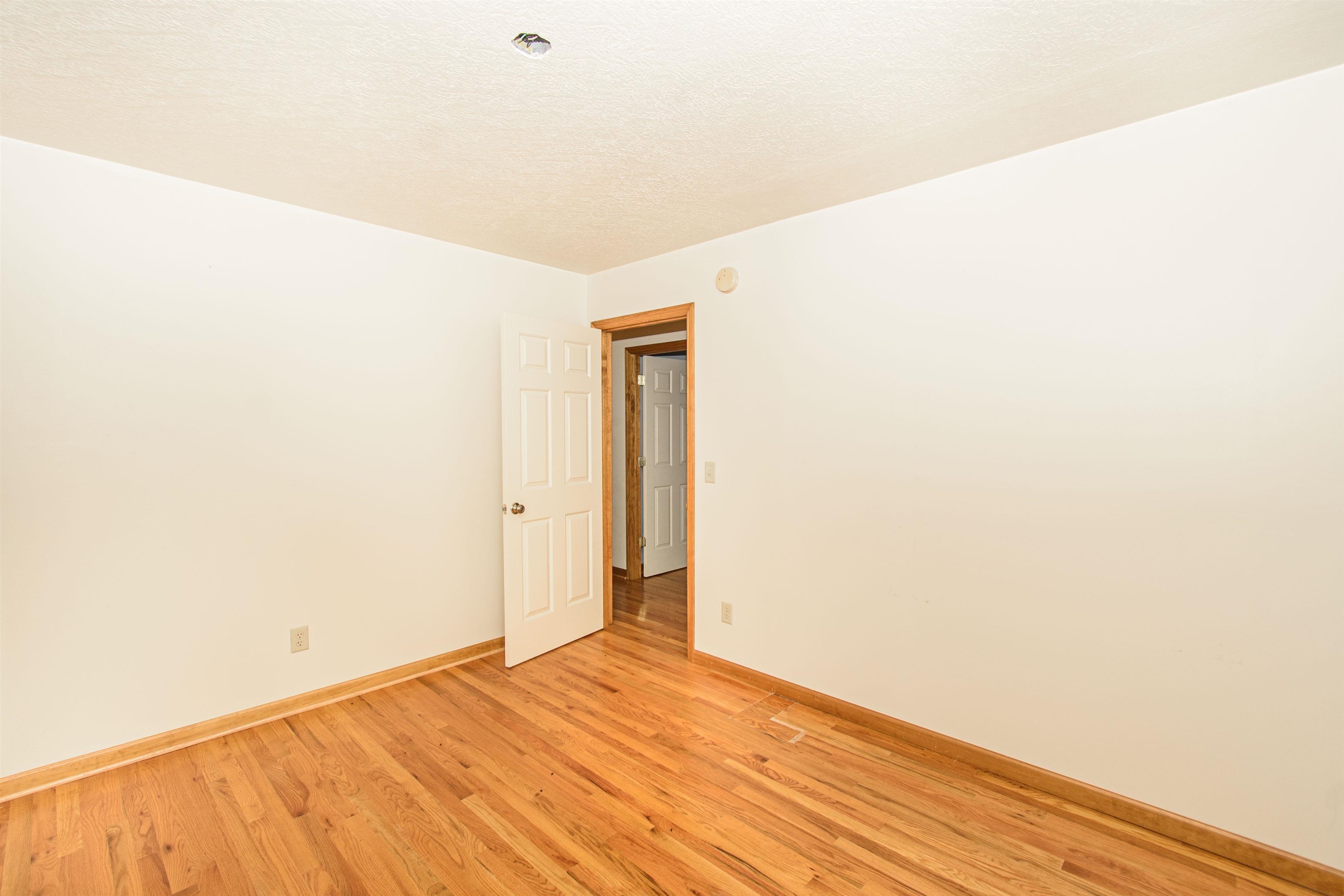 5485 Buffalo Mountain Road SW Willis VA 24380