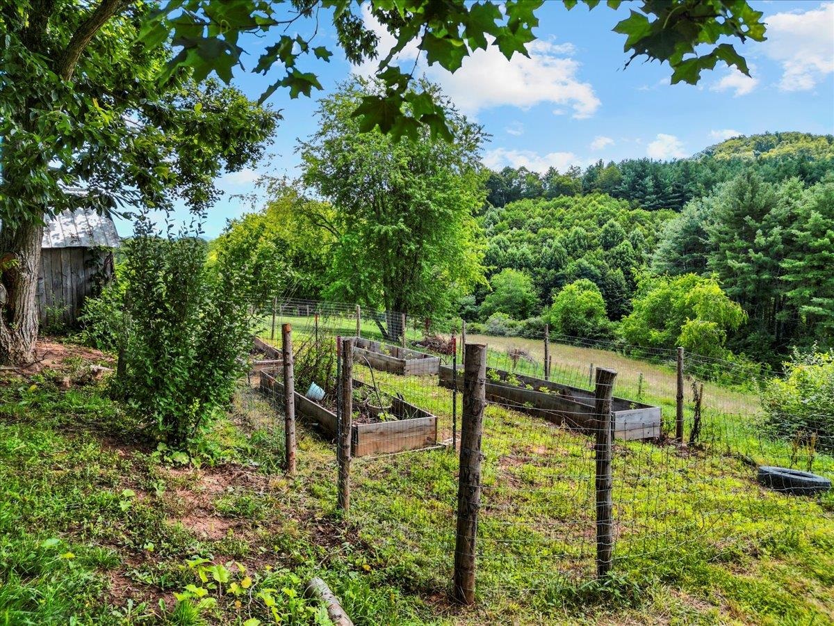 4343 Indian Valley Road NW Willis VA 24380