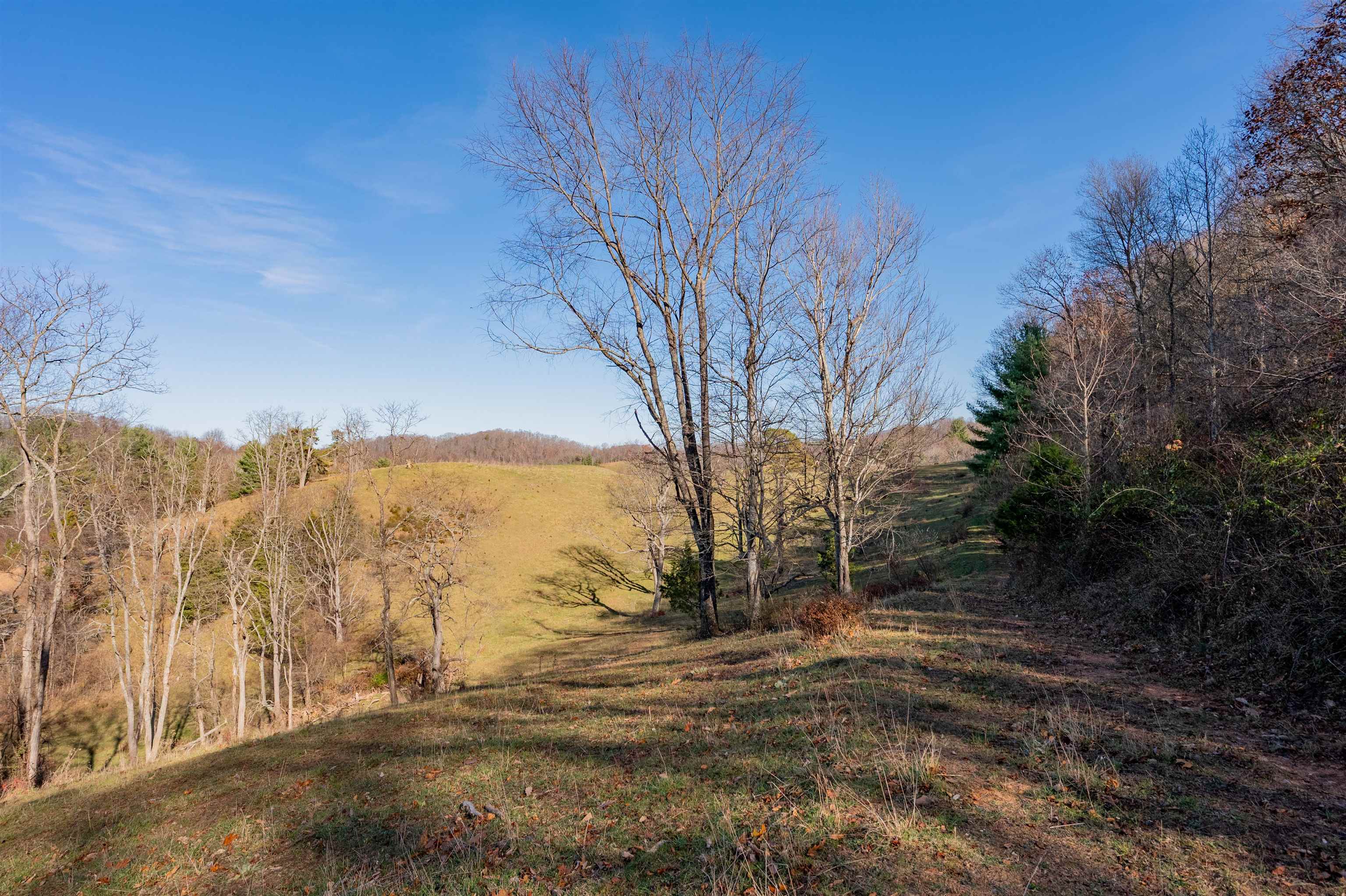 1555 Berea Road Wytheville VA 24382