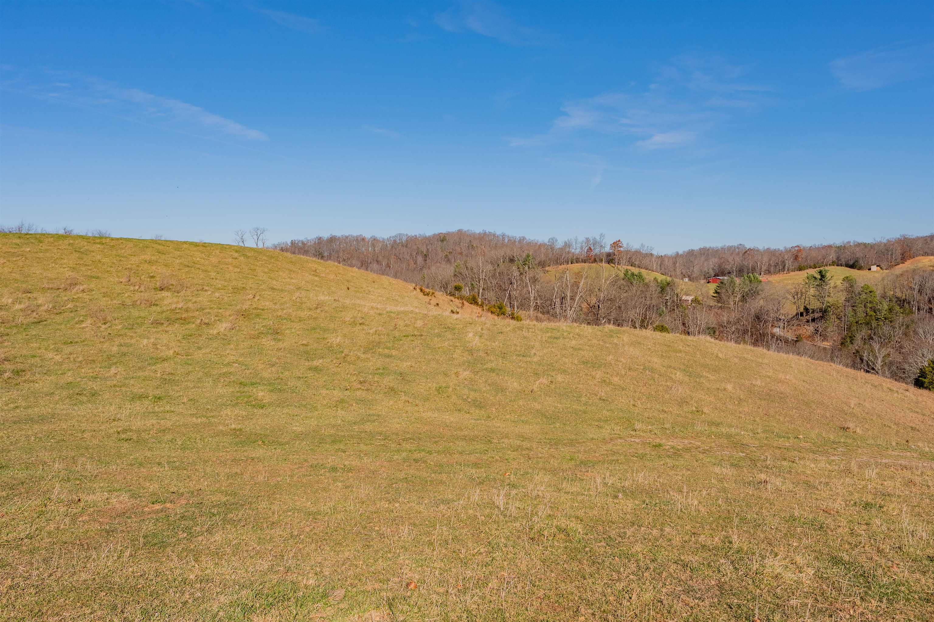 1555 Berea Road Wytheville VA 24382