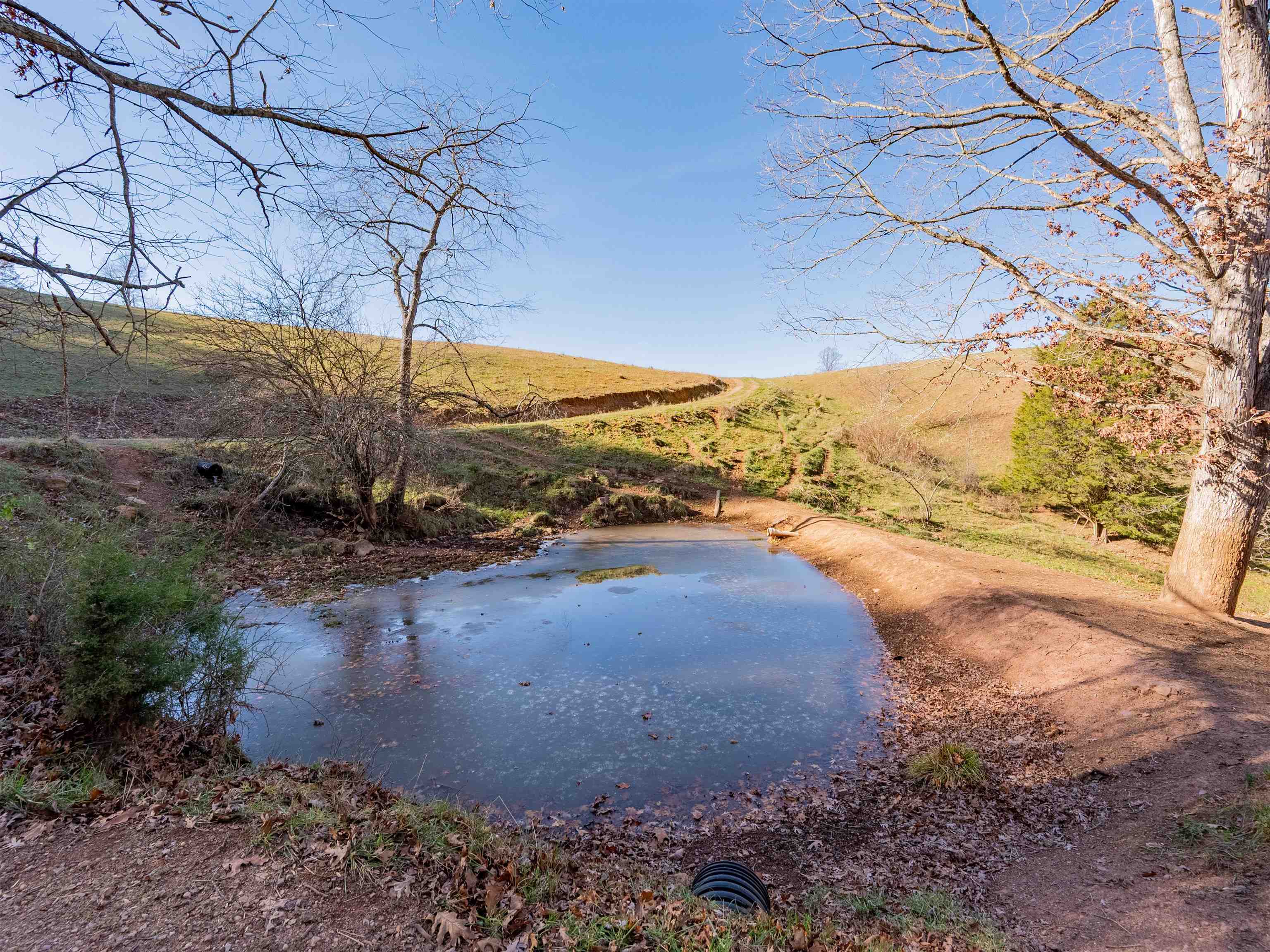 1555 Berea Road Wytheville VA 24382