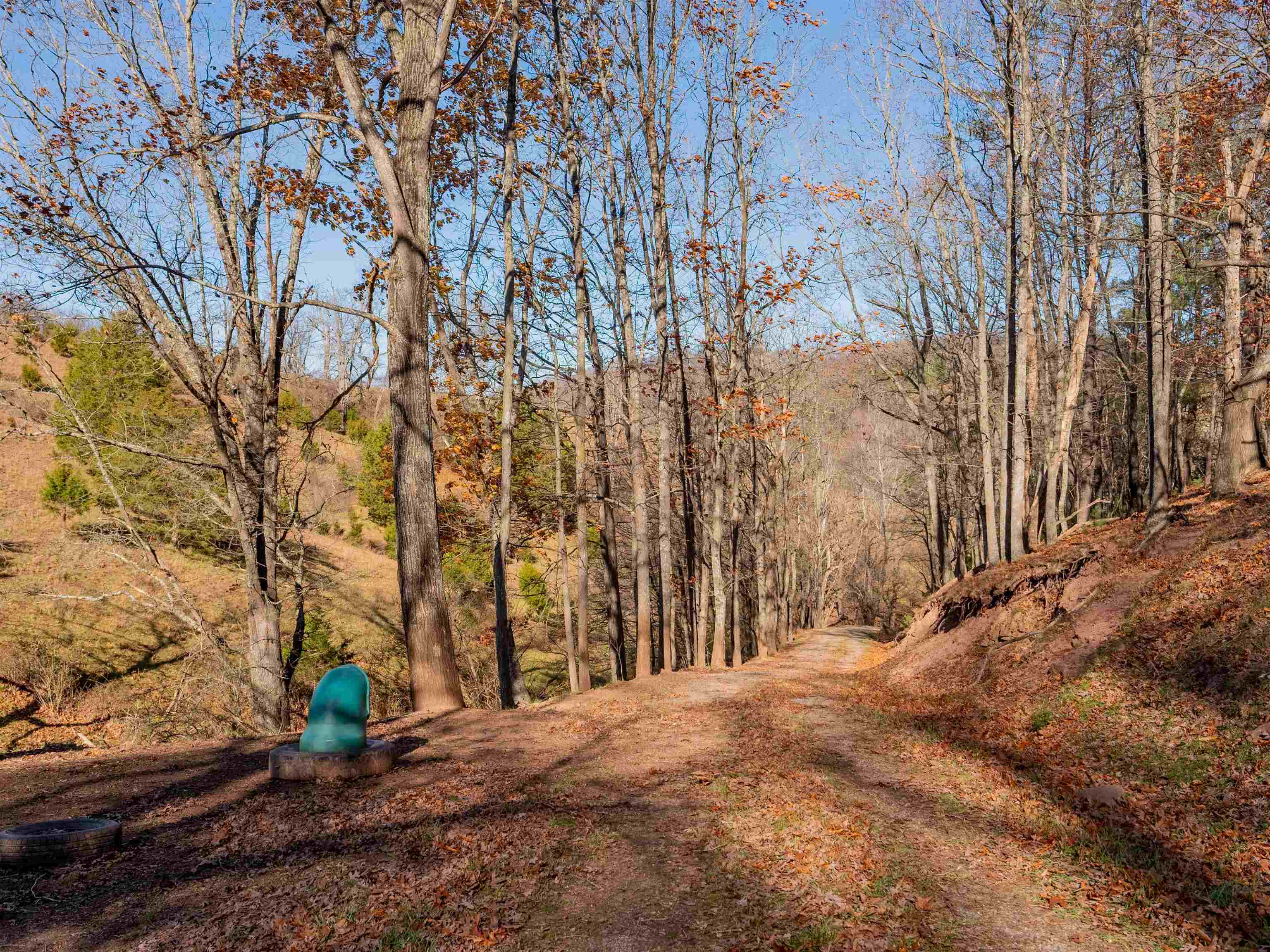 1555 Berea Road Wytheville VA 24382