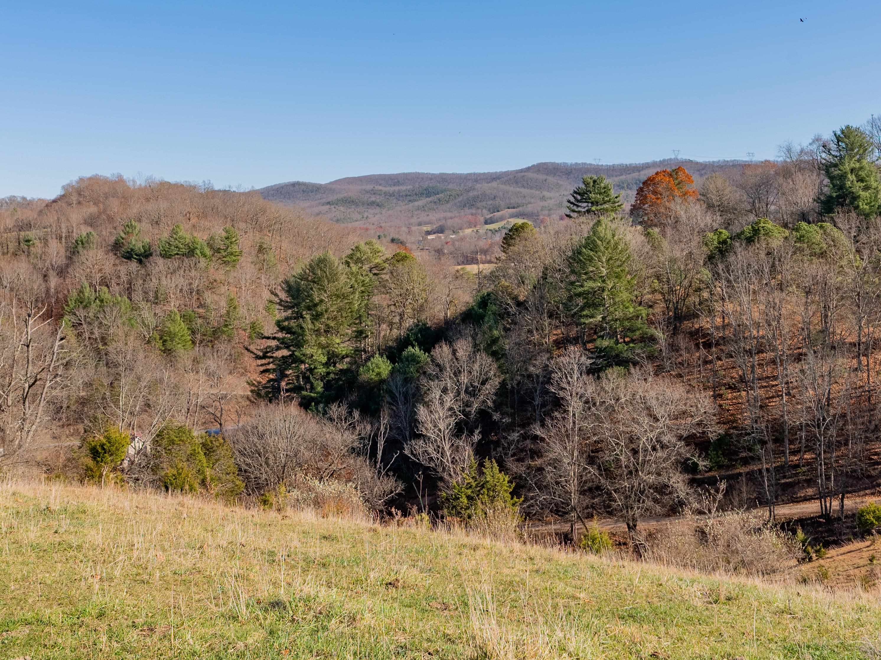 1555 Berea Road Wytheville VA 24382