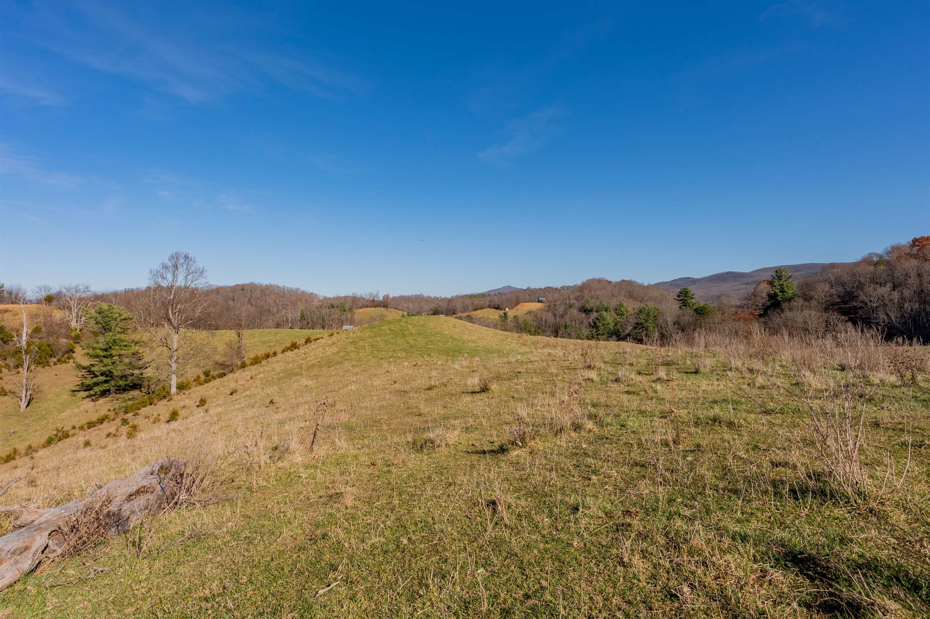 1555 Berea Road Wytheville VA 24382