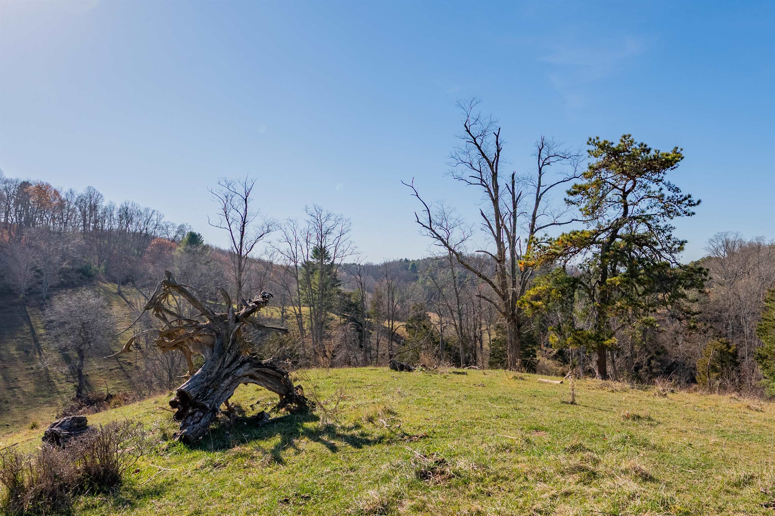 1555 Berea Road Wytheville VA 24382