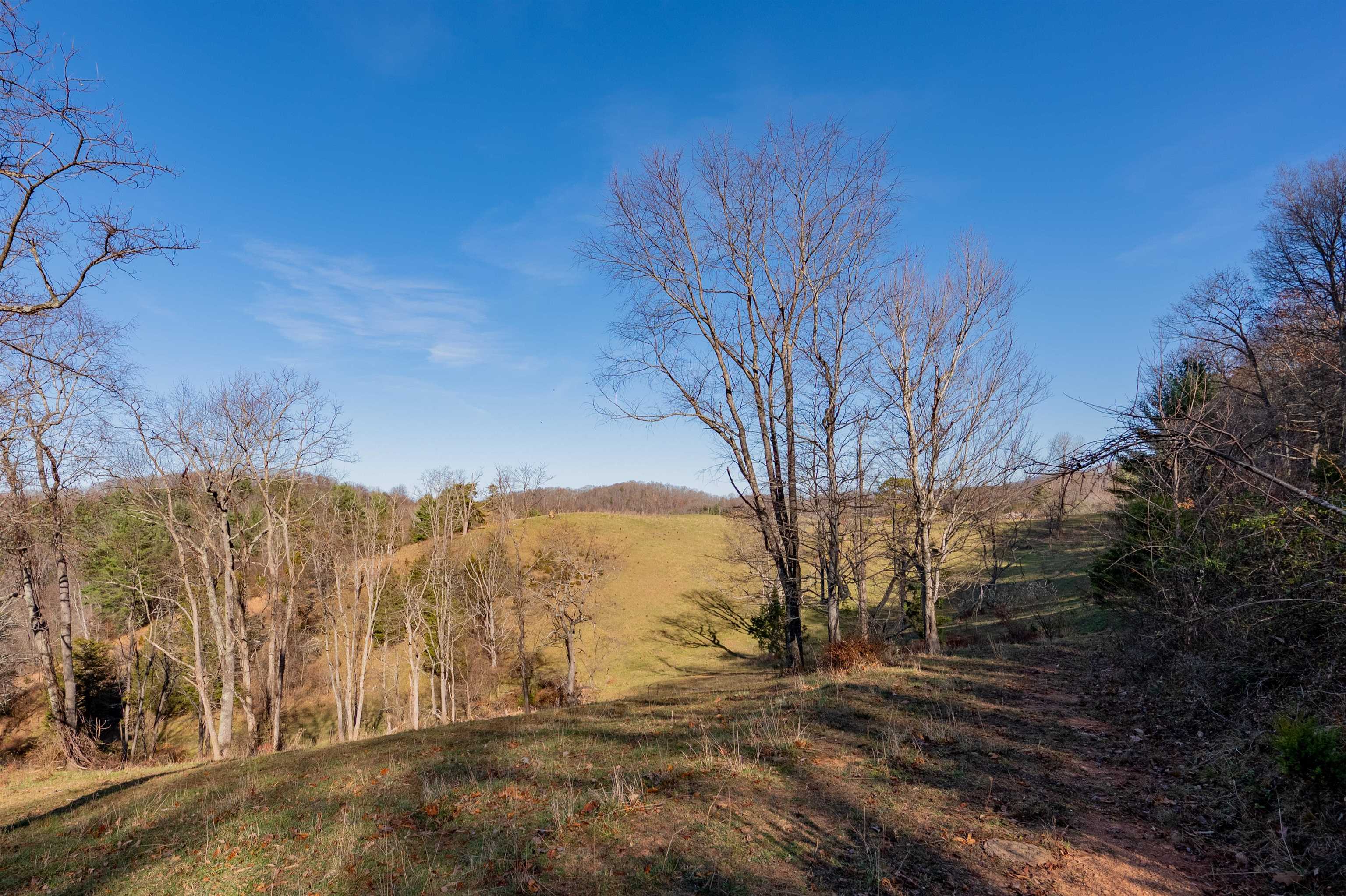 1555 Berea Road Wytheville VA 24382