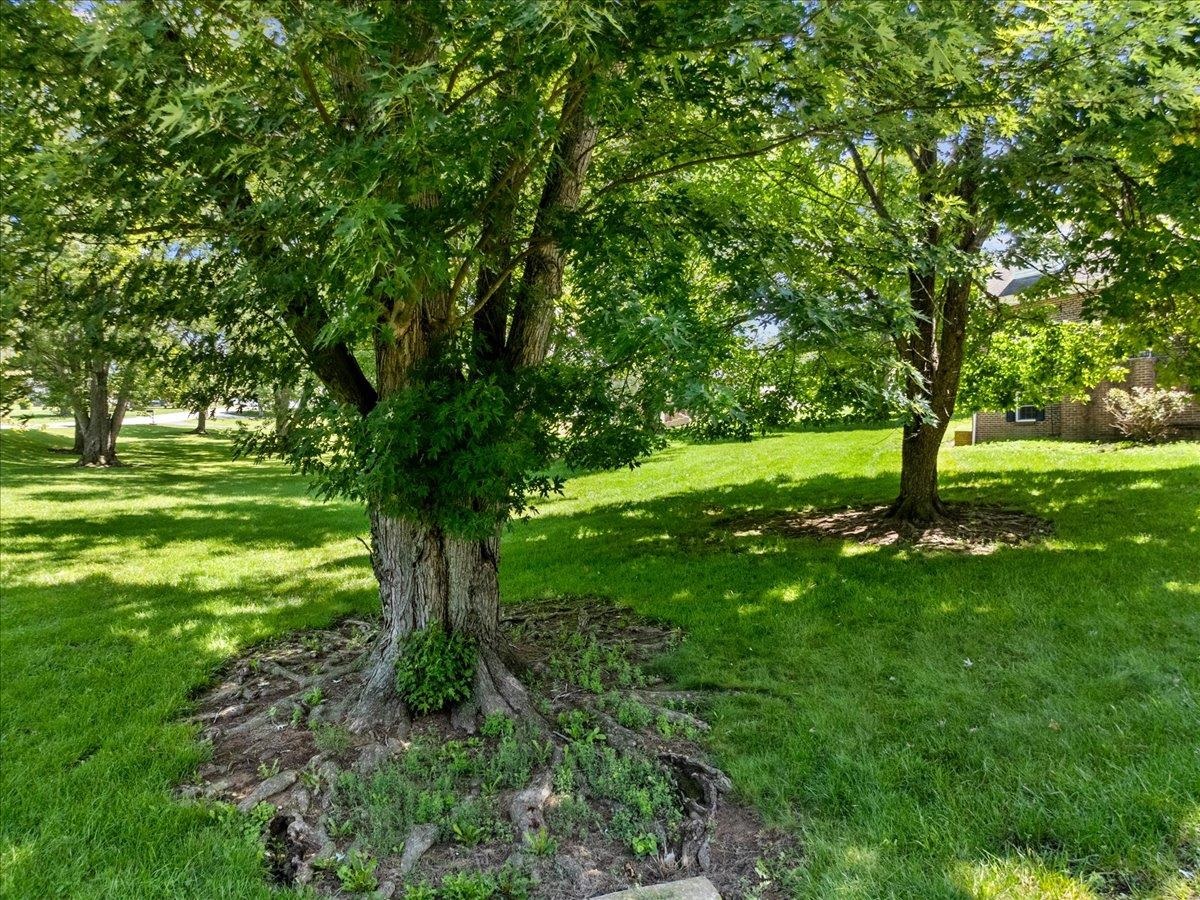 4307 Horseshoe Loop Dublin VA 24084