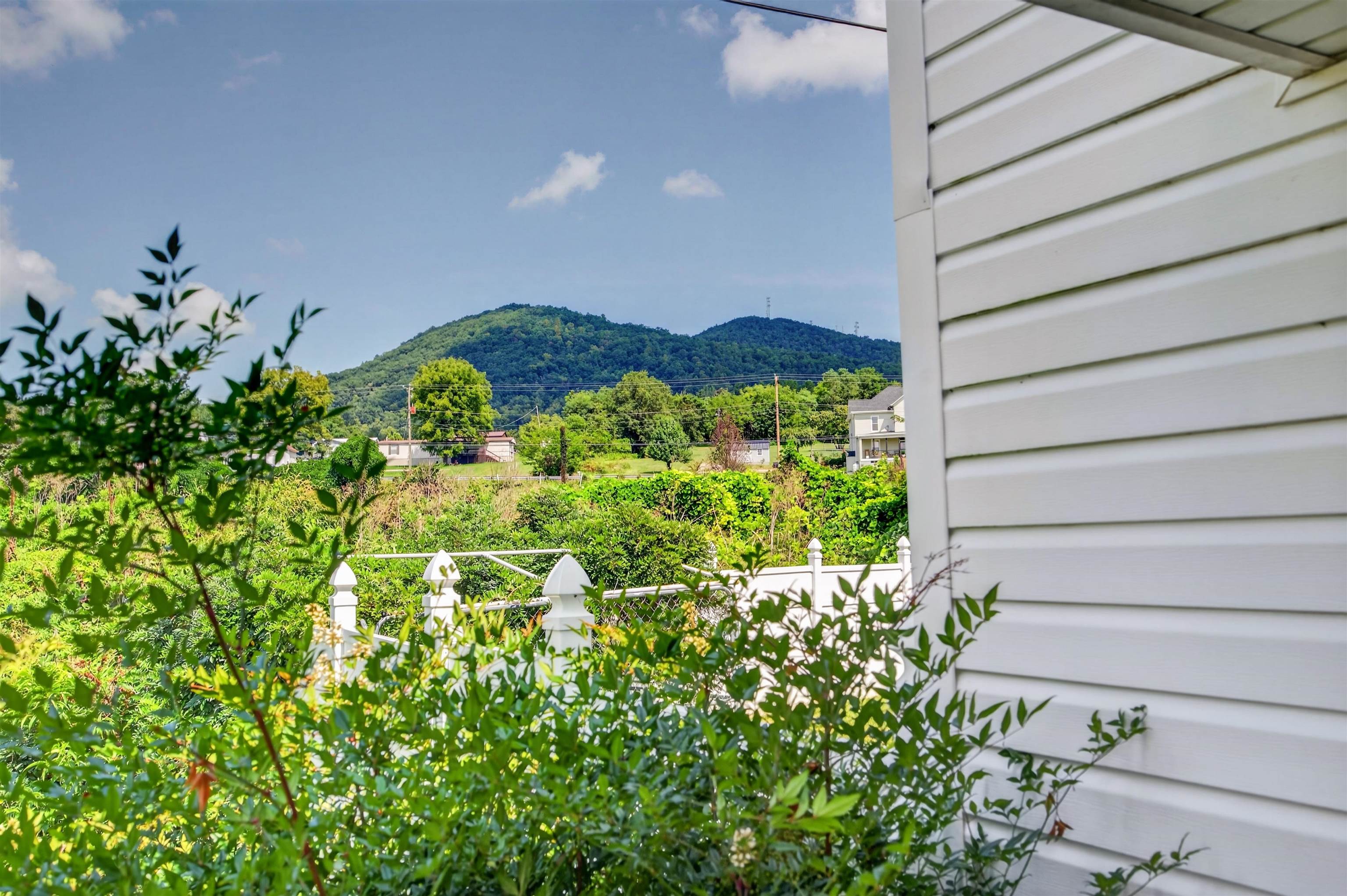 4218 Holbert Avenue Draper VA 24324