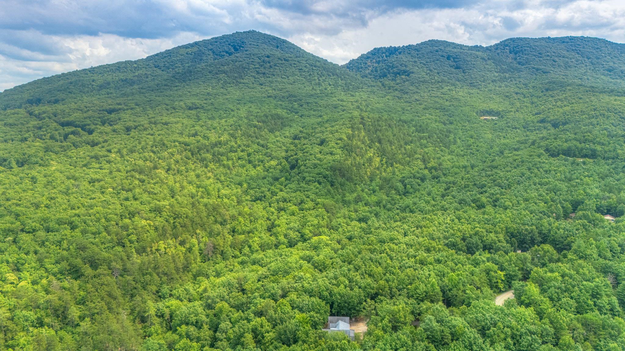 499 Craig Woods Road New Castle VA 24127