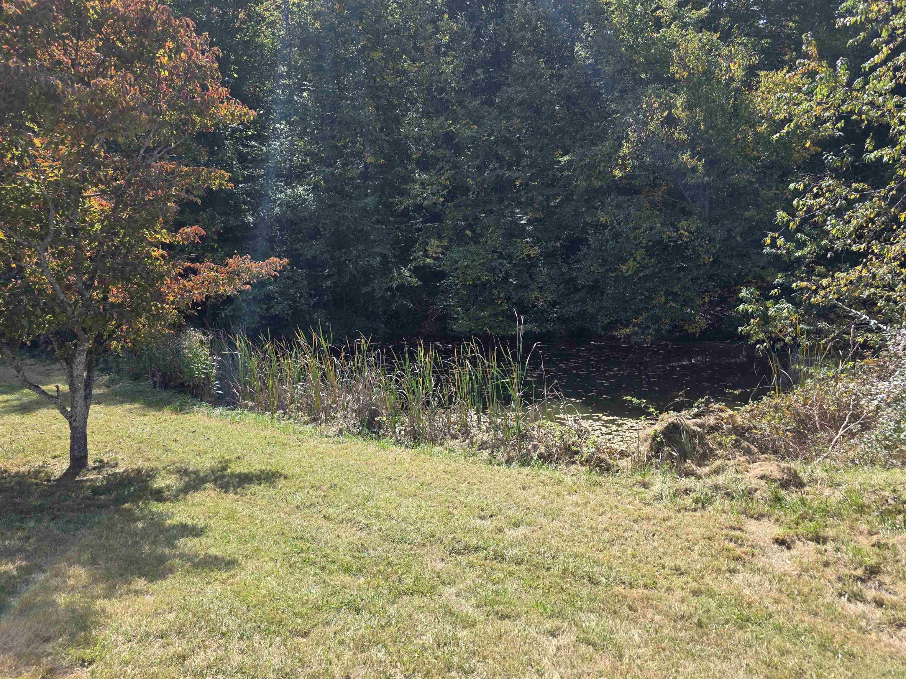 218 Ridge Road Check VA 24072