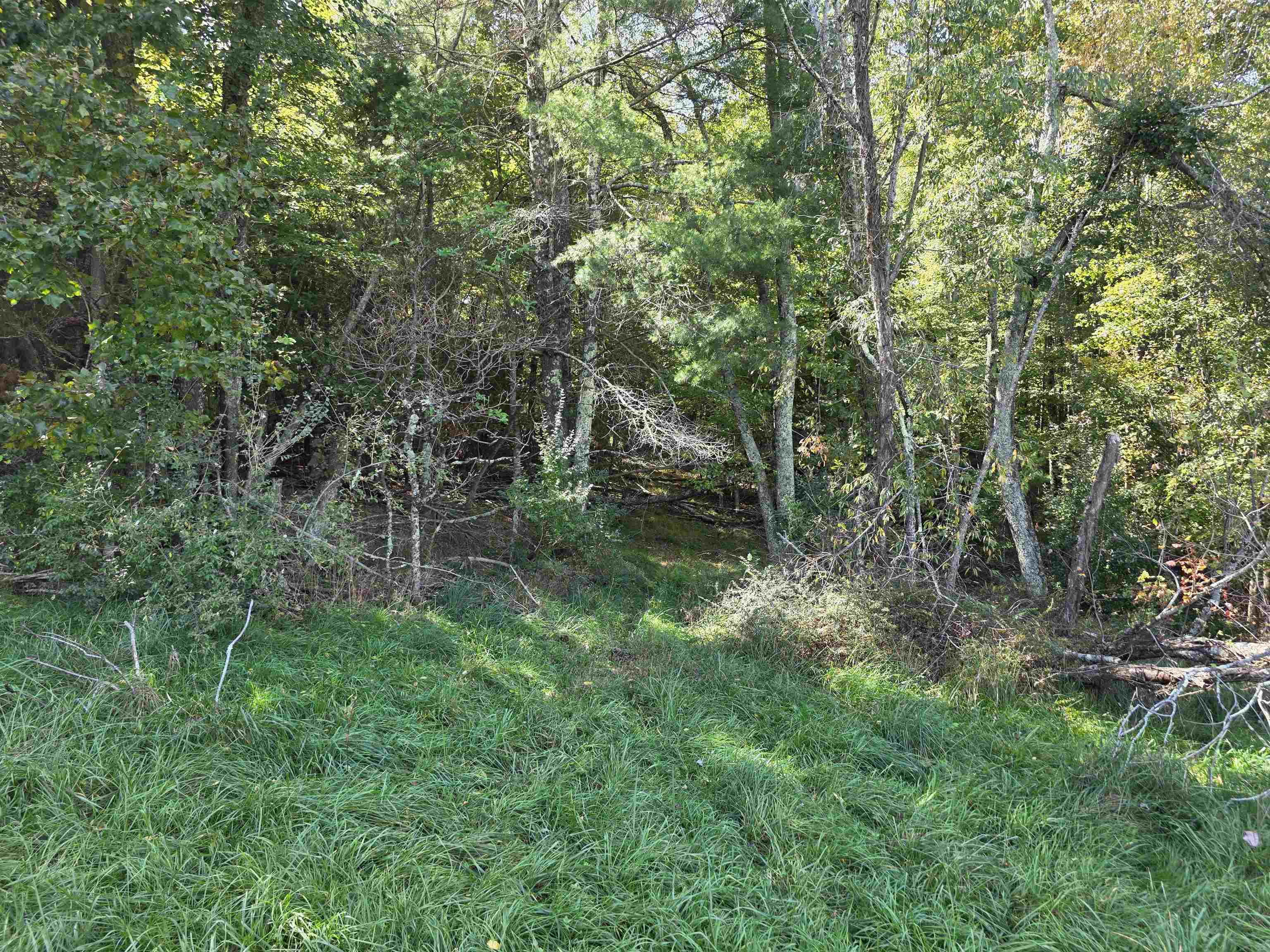 218 Ridge Road Check VA 24072