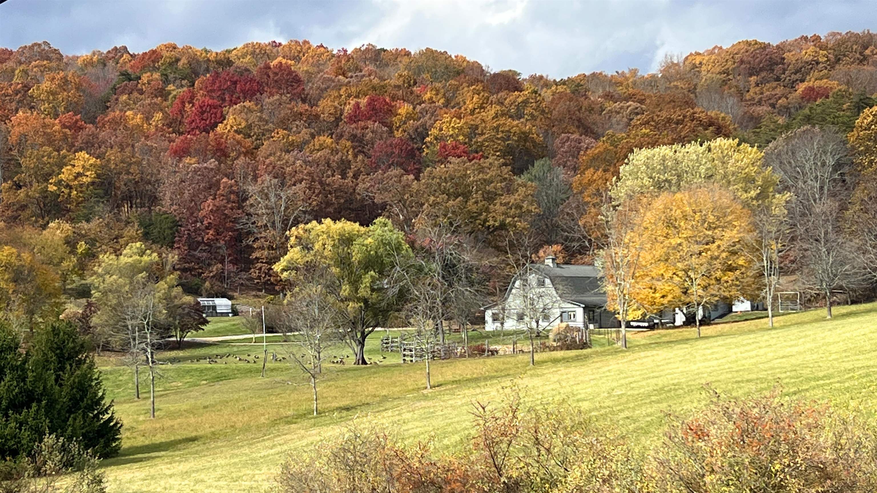 701 Bishop Road Blacksburg VA 24060