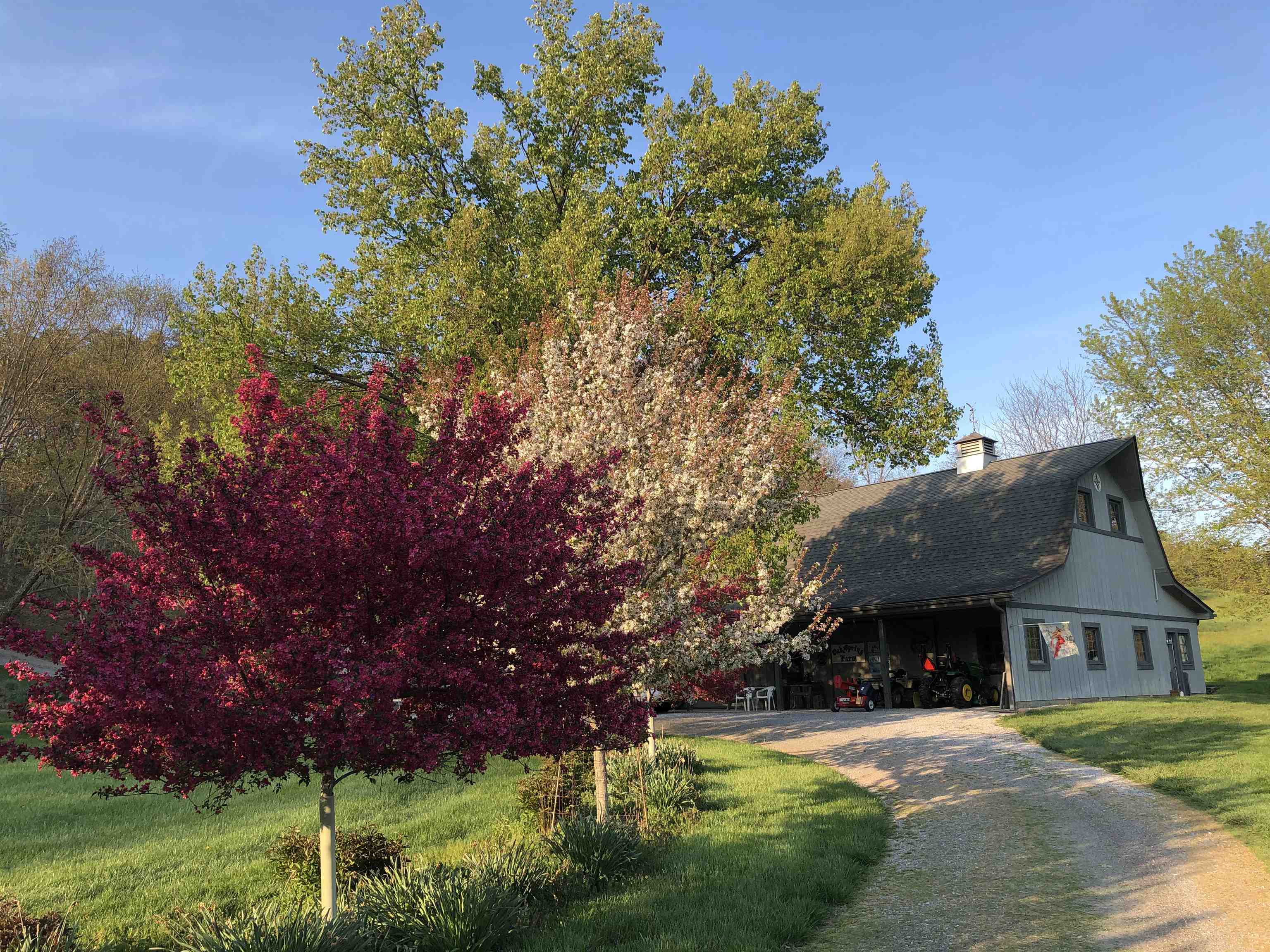 701 Bishop Road Blacksburg VA 24060