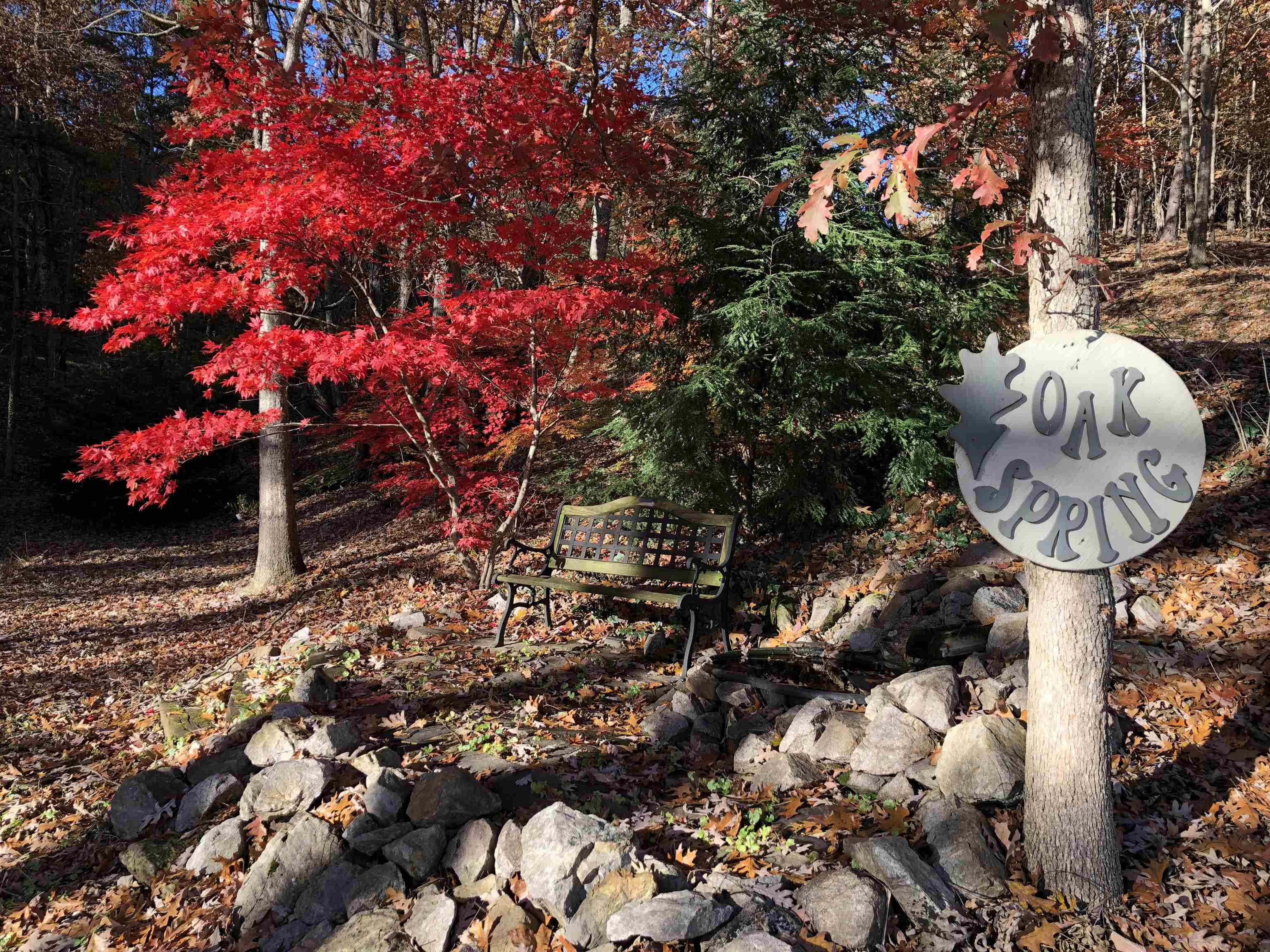 701 Bishop Road Blacksburg VA 24060