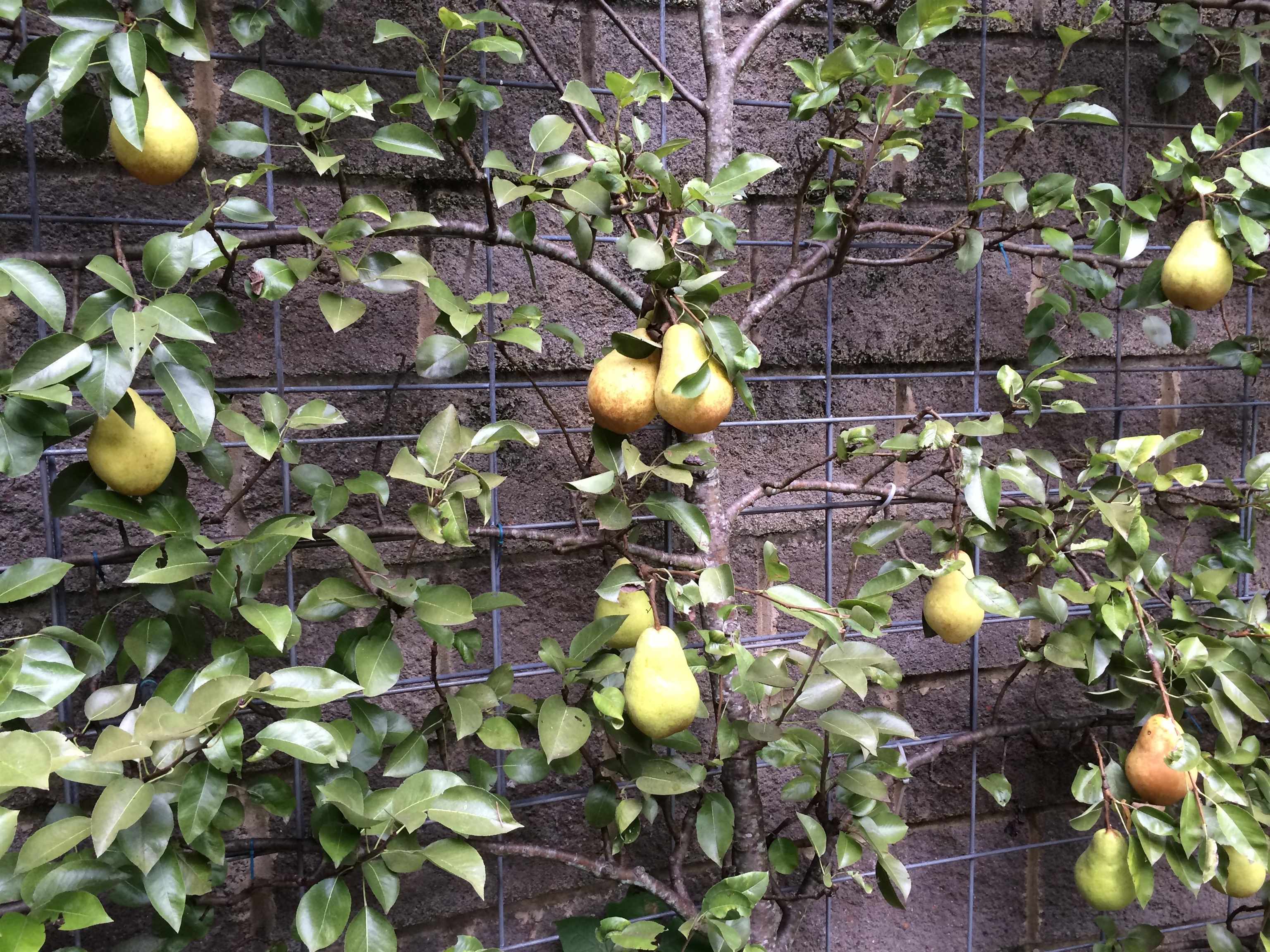 701 Bishop Road Blacksburg VA 24060