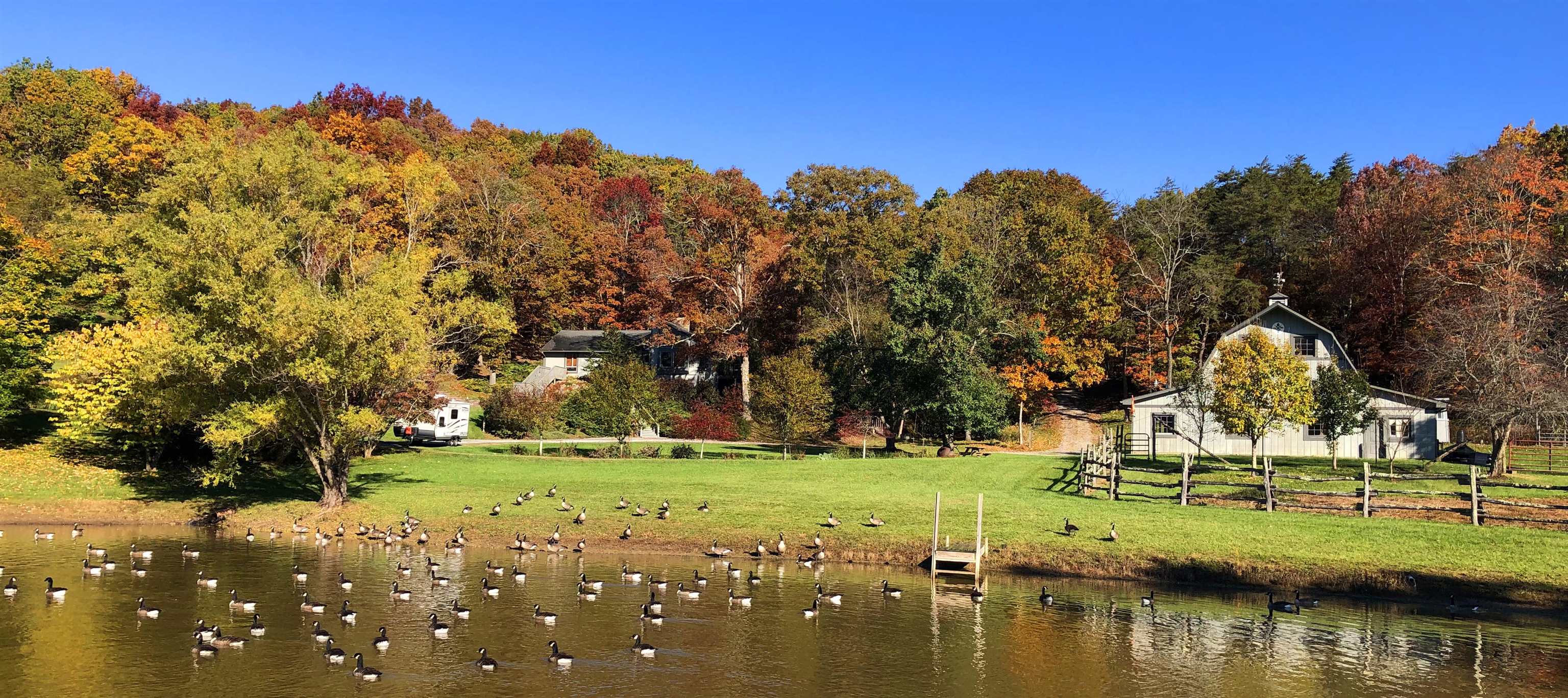 701 Bishop Road Blacksburg VA 24060