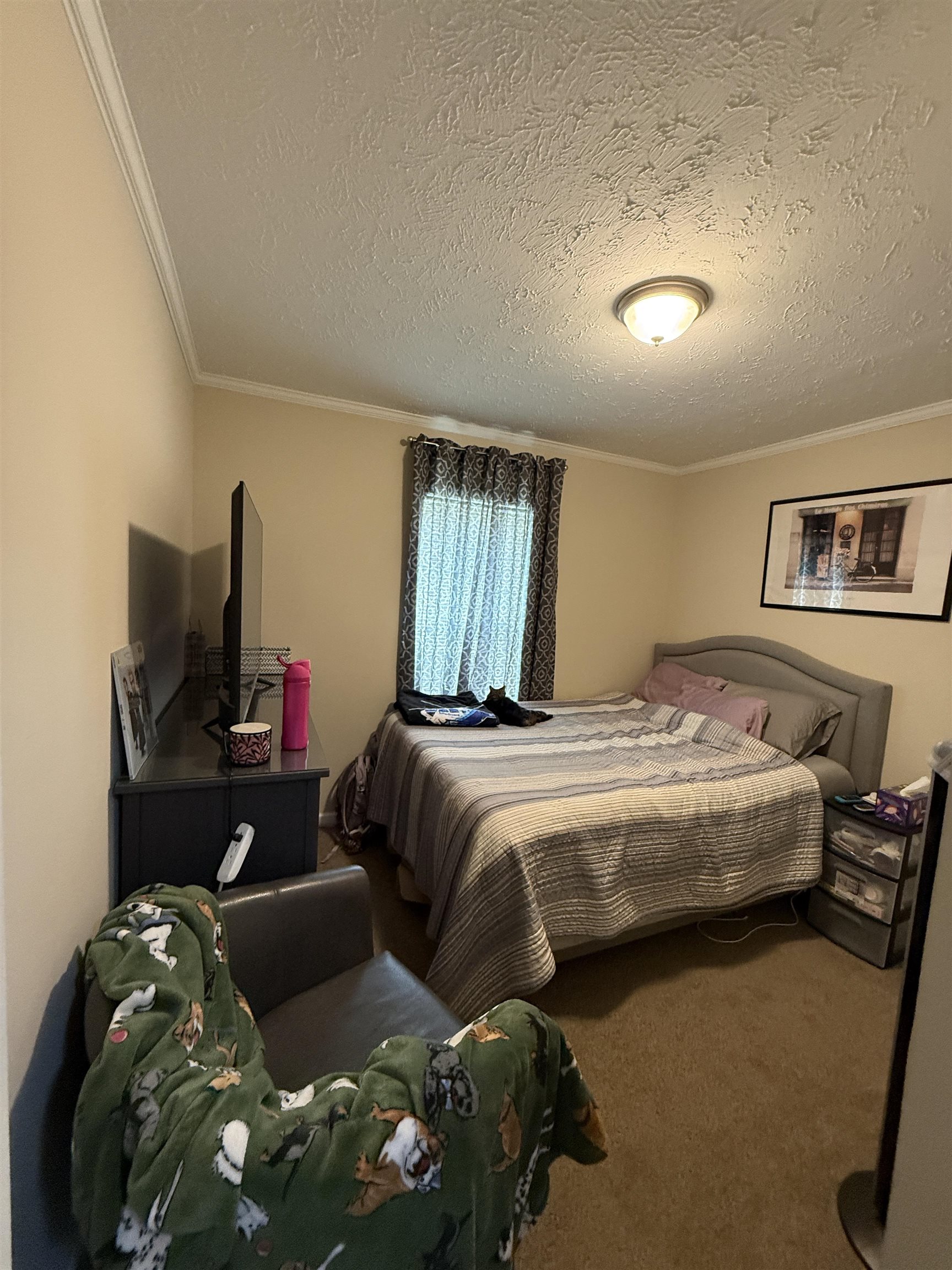 3731 Sunflower Road Pilot VA 24138