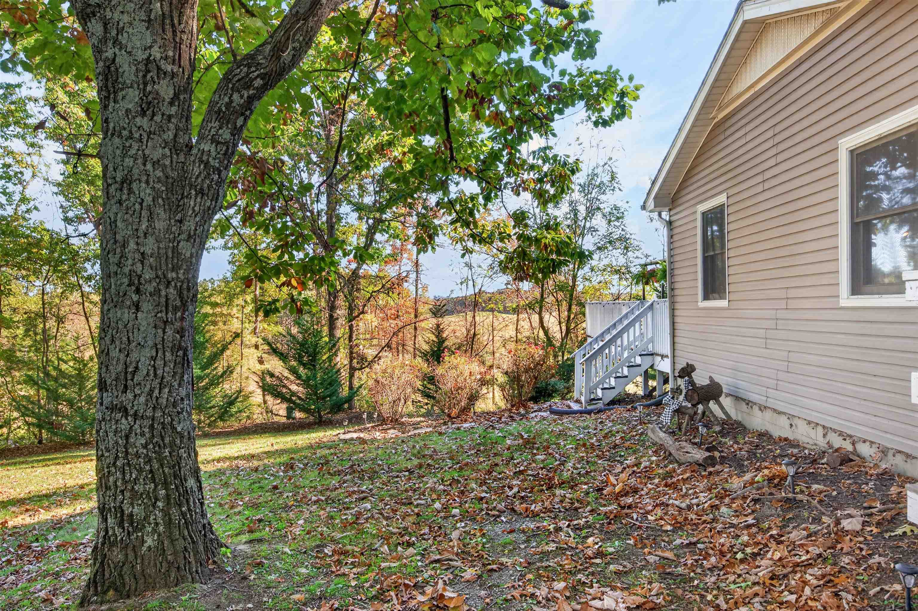130 Shadow Lane Max Meadows VA 24360