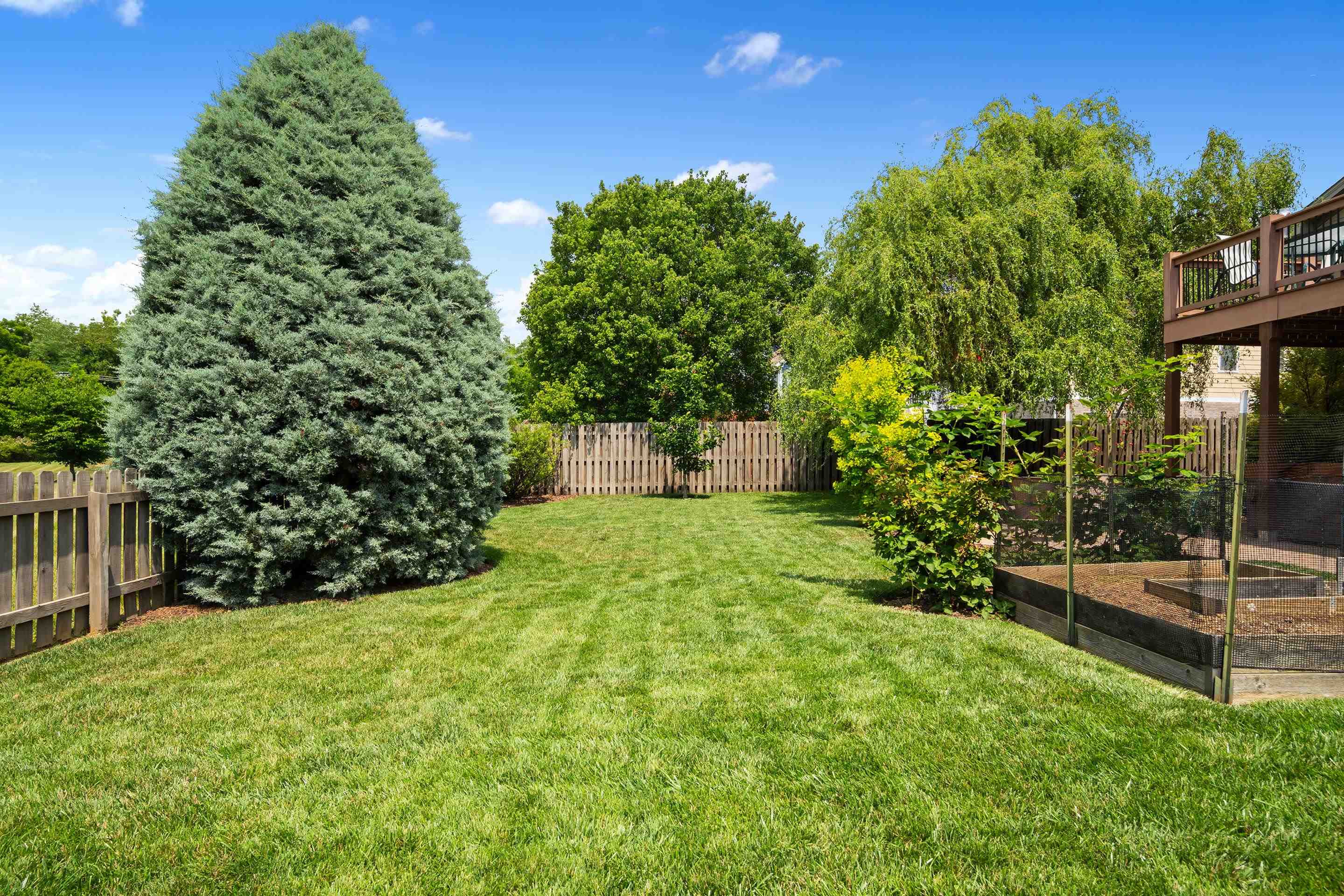 1803 Asher Lane Blacksburg VA 24060