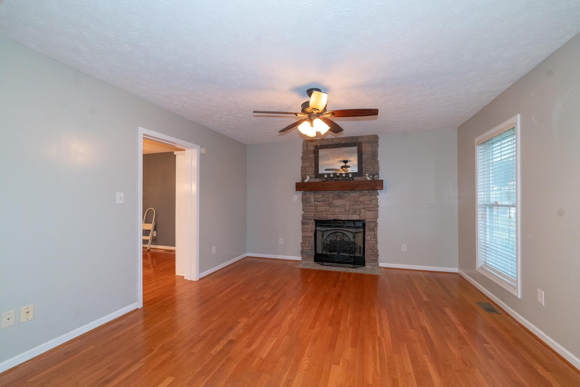 4425 S Scenic Highway Bland VA 24315