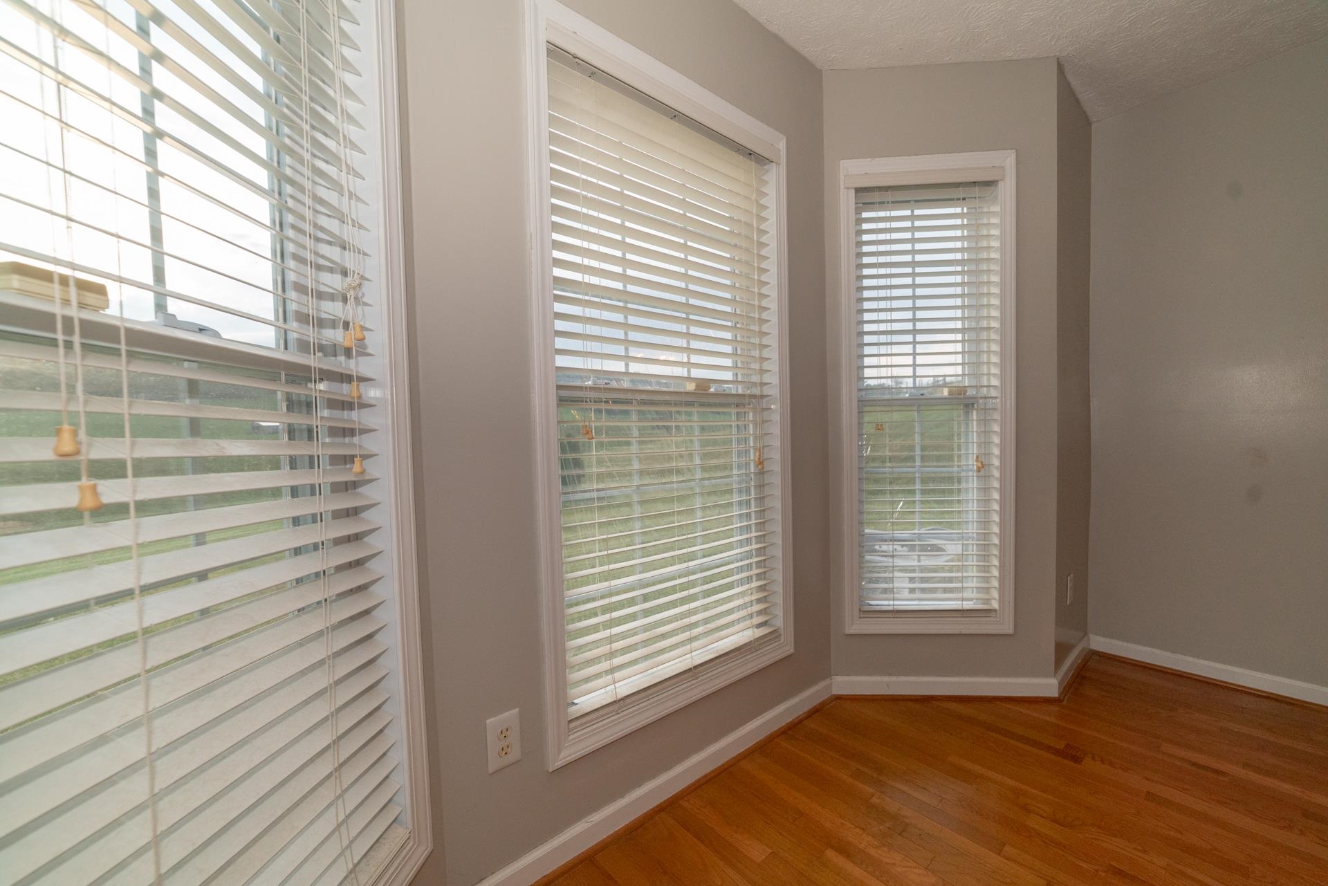4425 S Scenic Highway Bland VA 24315