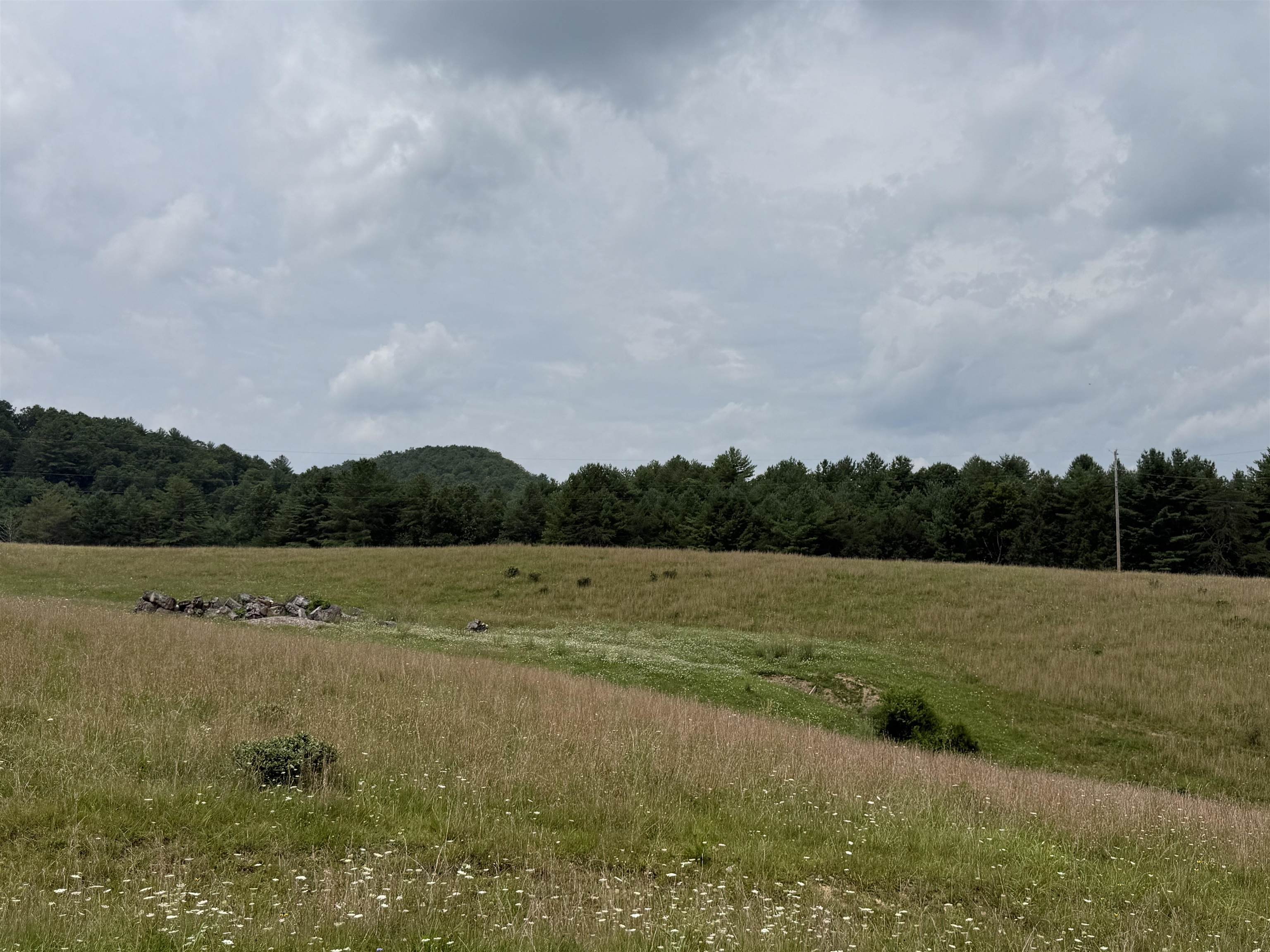 1485 Price Ridge Road Bland VA 24315