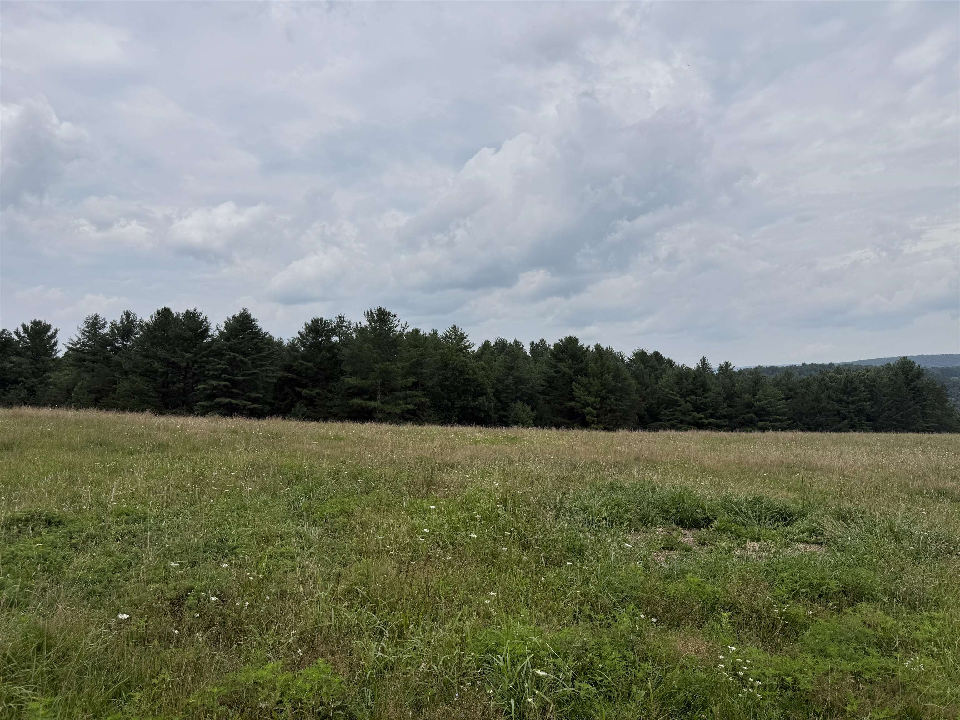 1485 Price Ridge Road Bland VA 24315
