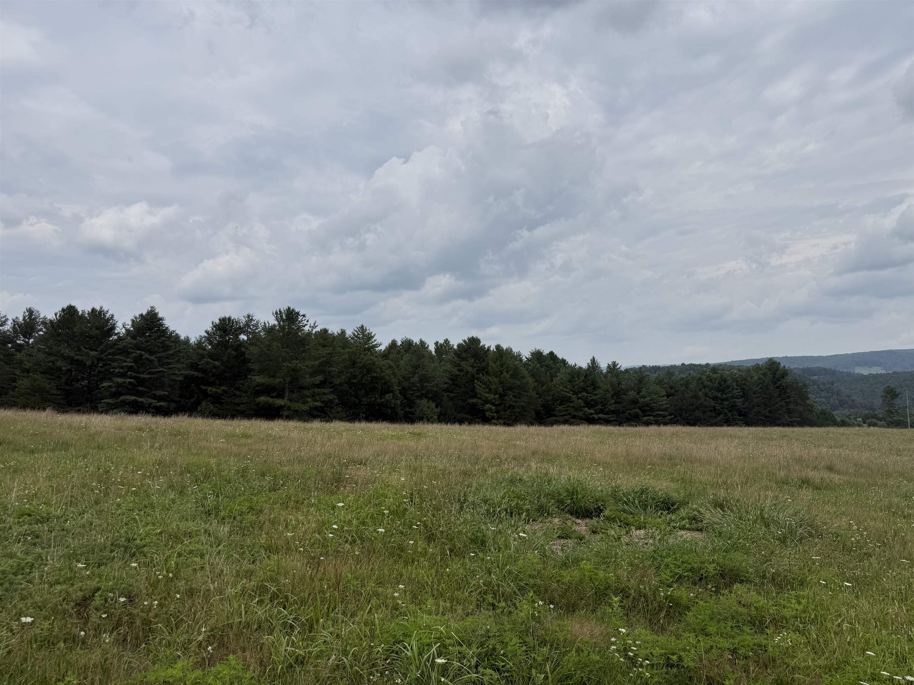 1485 Price Ridge Road Bland VA 24315