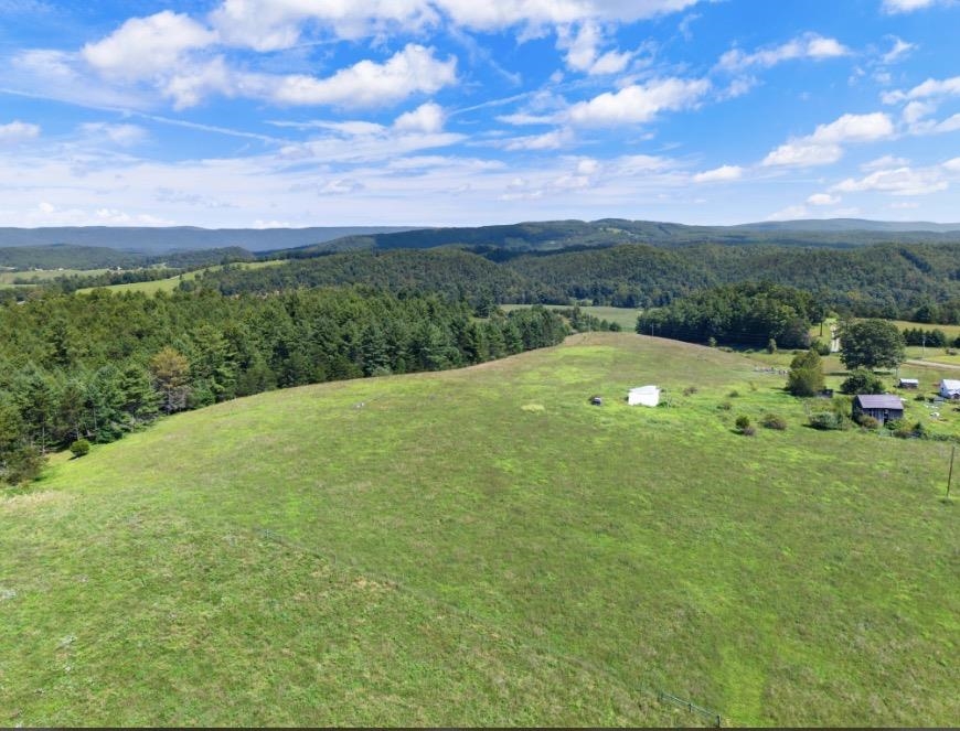 1485 Price Ridge Road Bland VA 24315