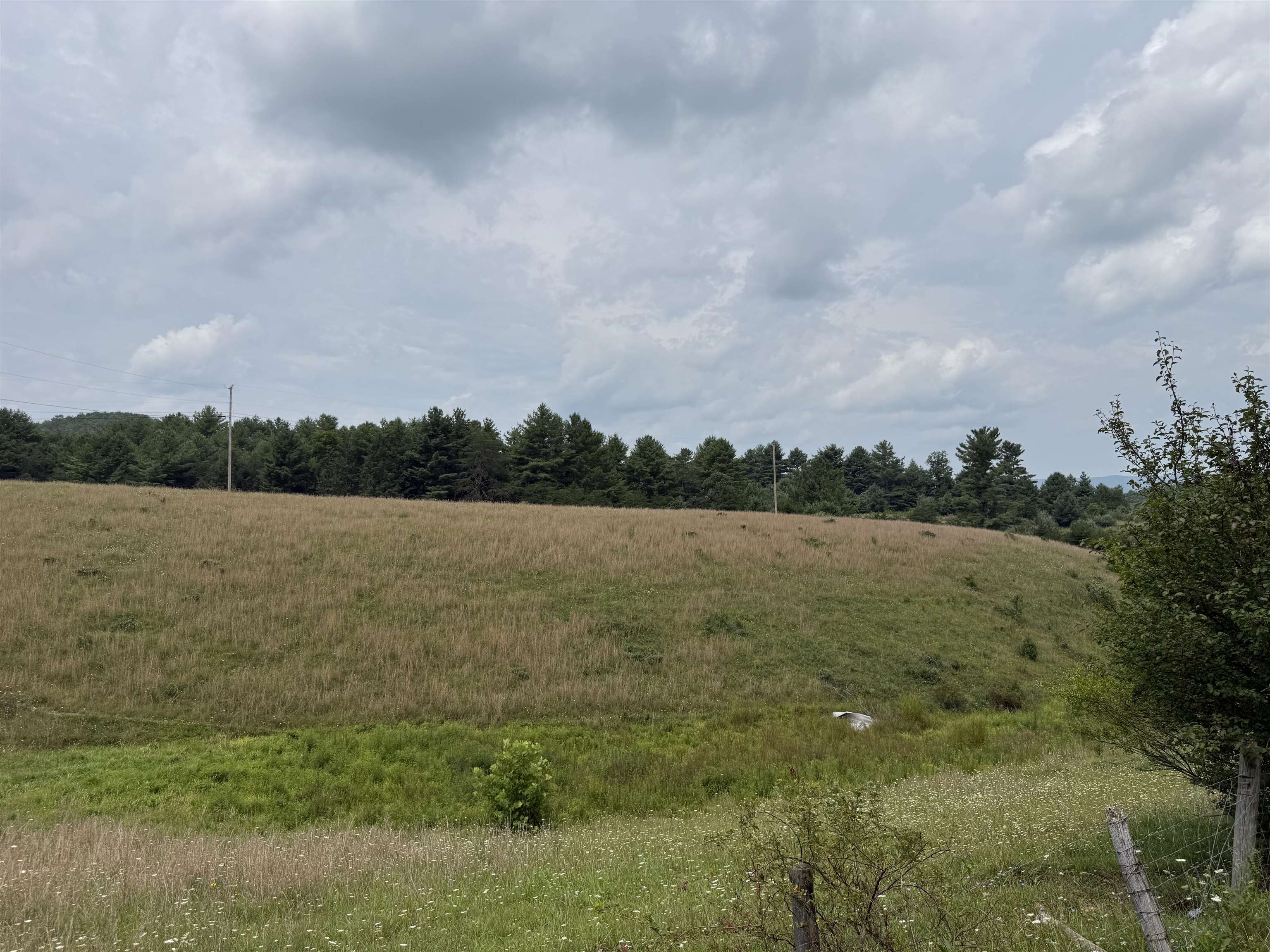 1485 Price Ridge Road Bland VA 24315