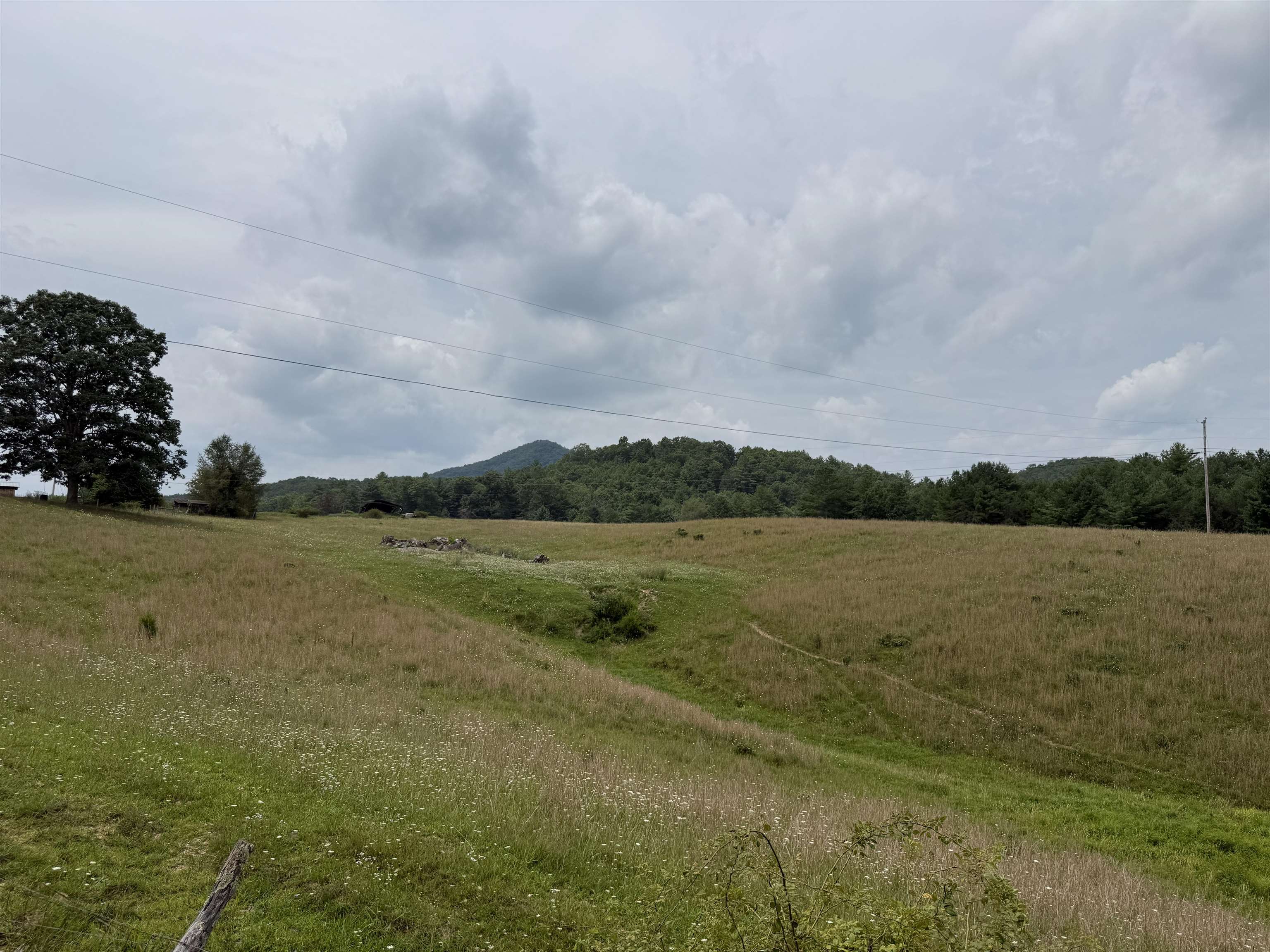 1485 Price Ridge Road Bland VA 24315