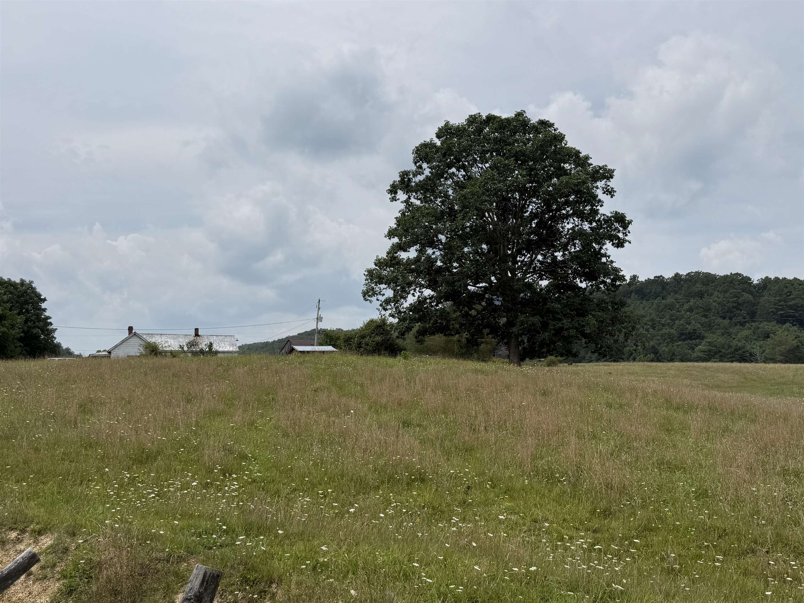 1485 Price Ridge Road Bland VA 24315