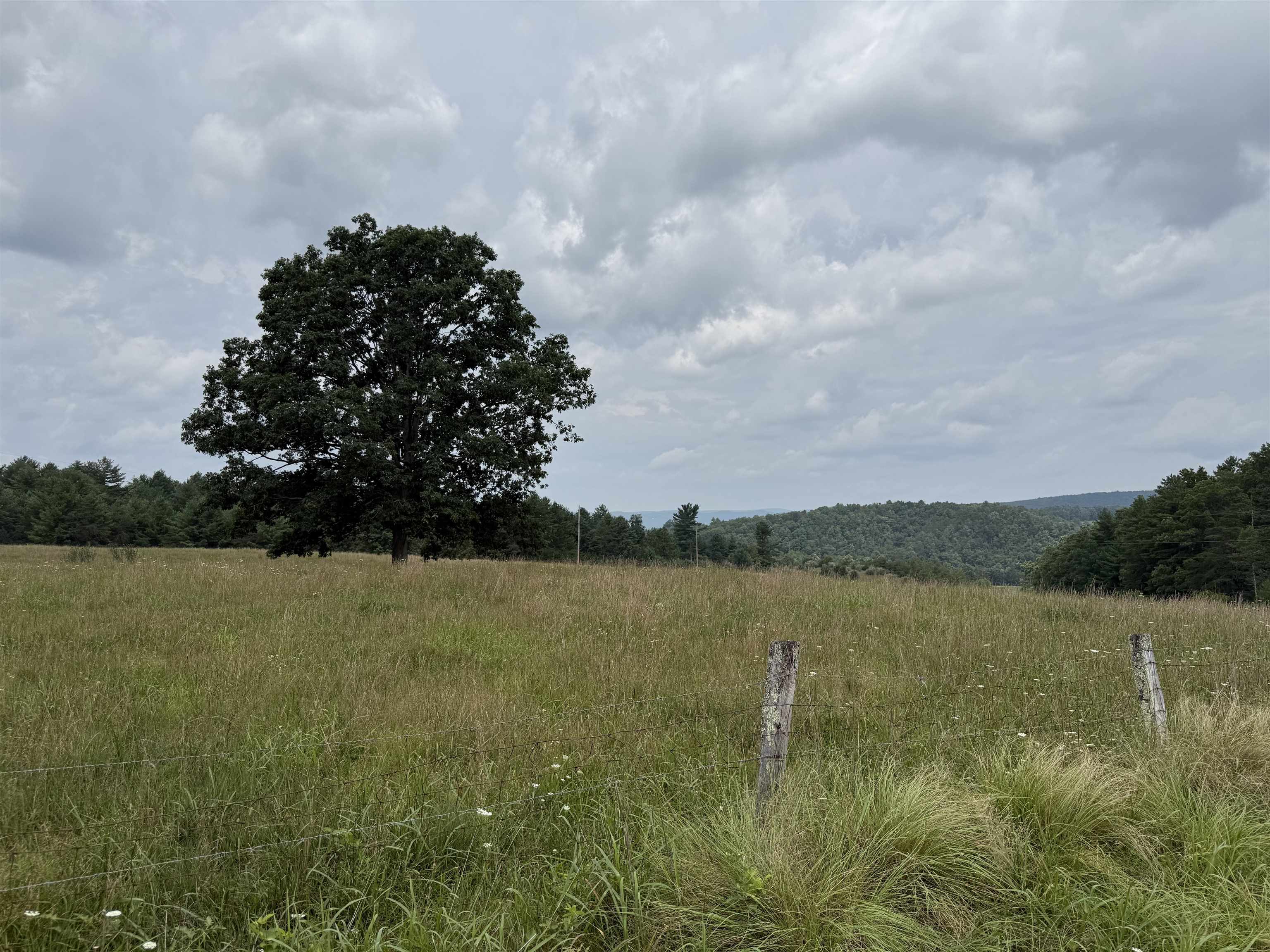 1485 Price Ridge Road Bland VA 24315