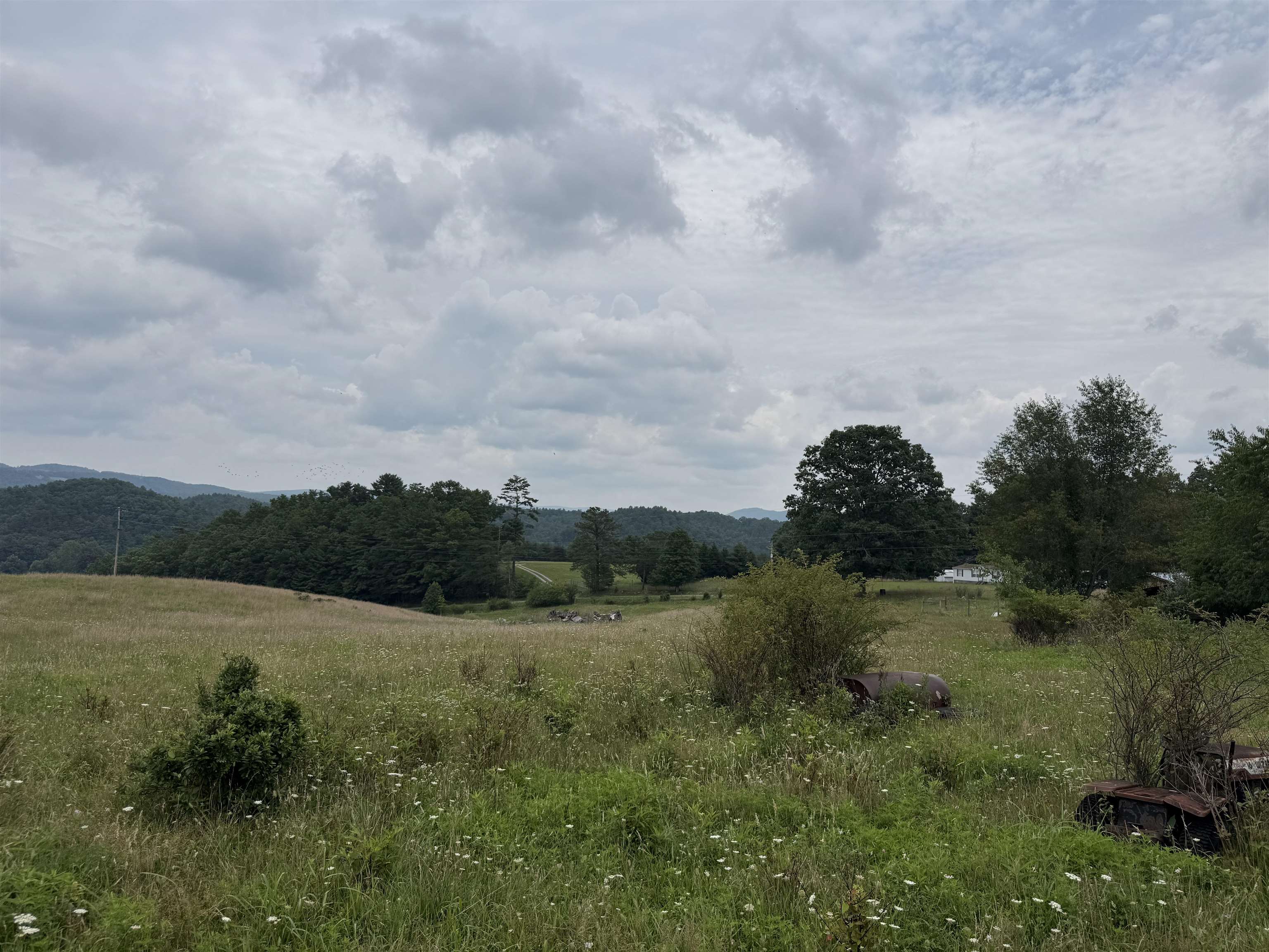 1485 Price Ridge Road Bland VA 24315