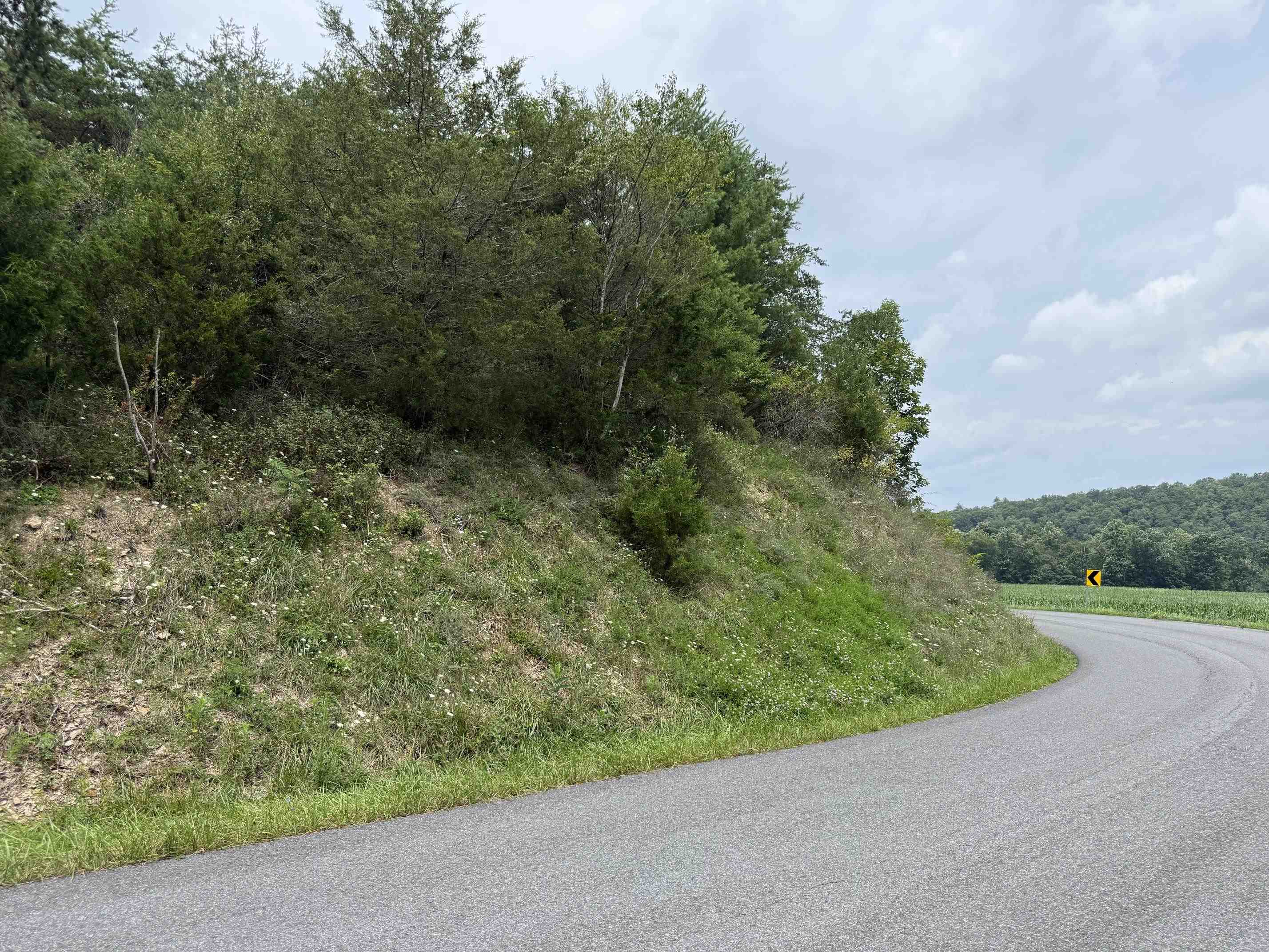 1485 Price Ridge Road Bland VA 24315