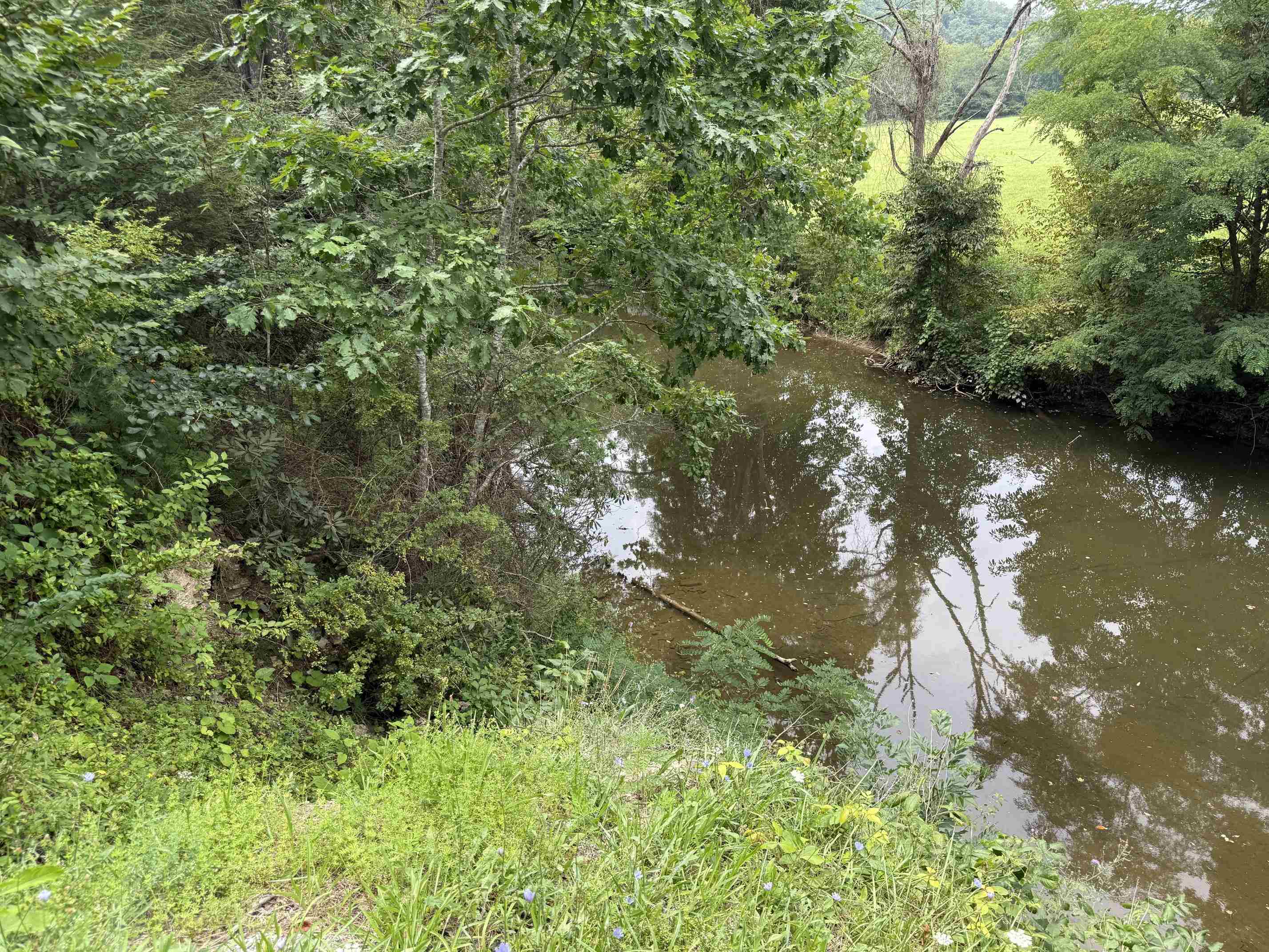 1485 Price Ridge Road Bland VA 24315