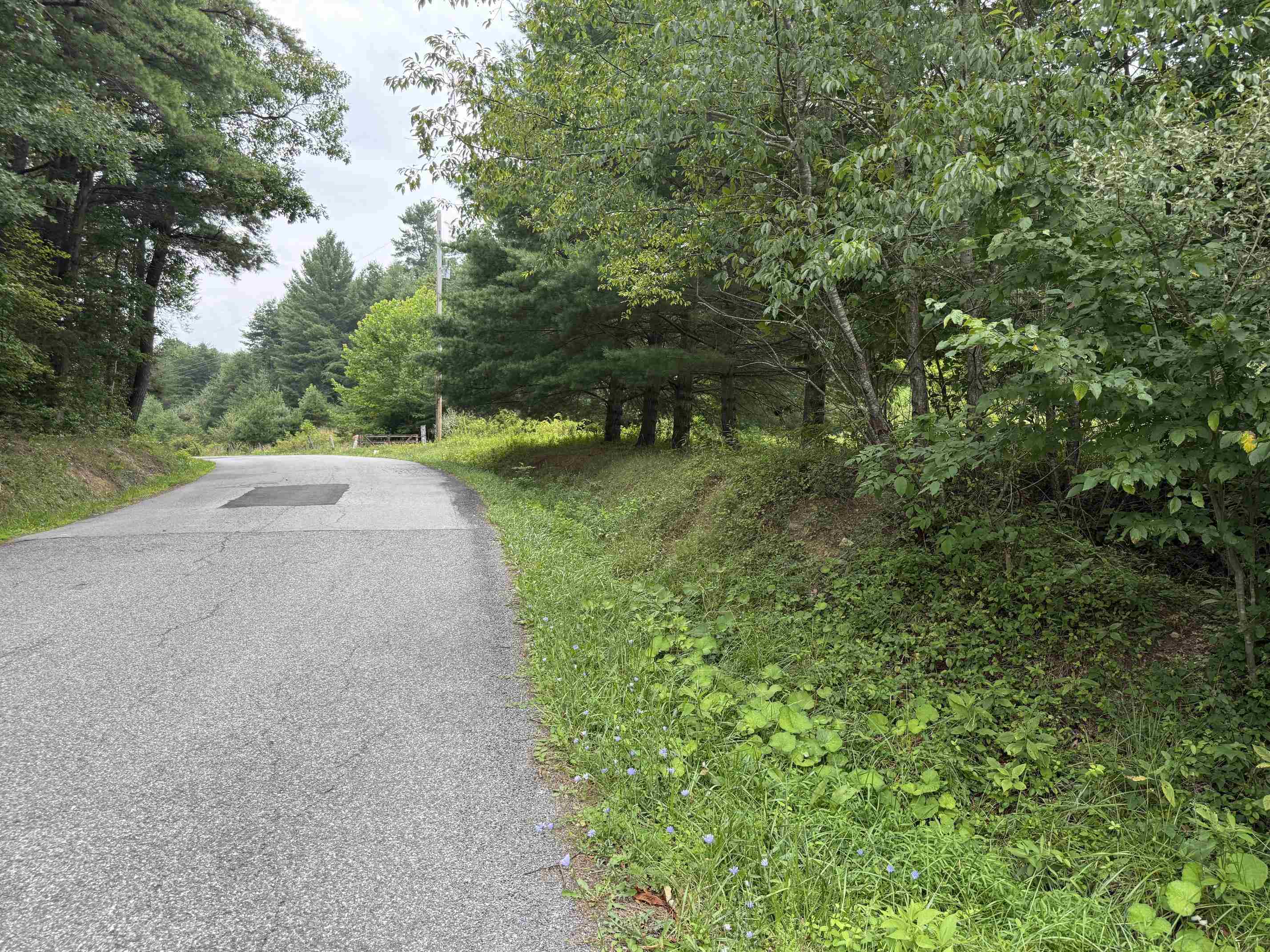 1485 Price Ridge Road Bland VA 24315